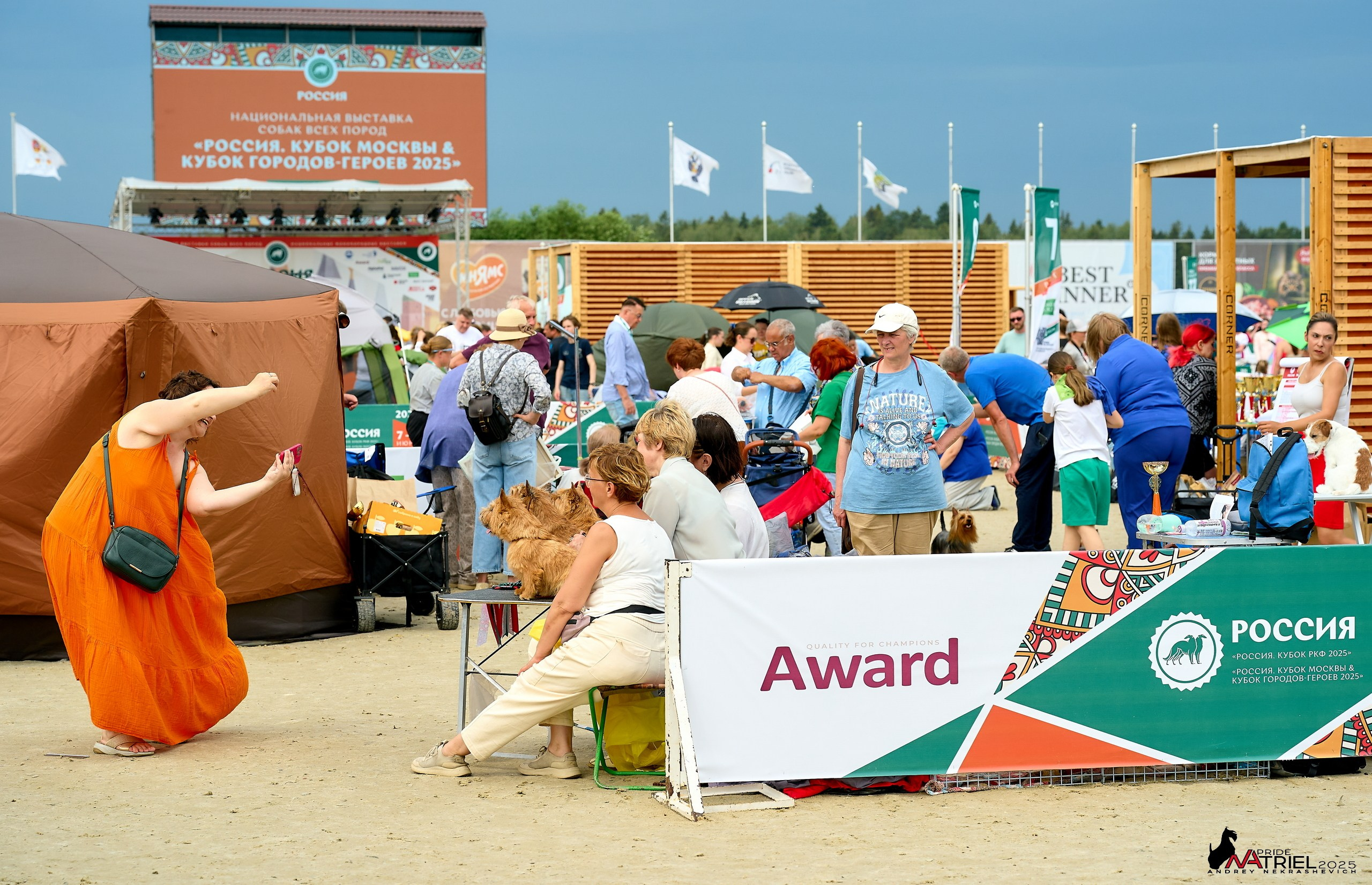 Выставка собак РОССИЯ — 2025