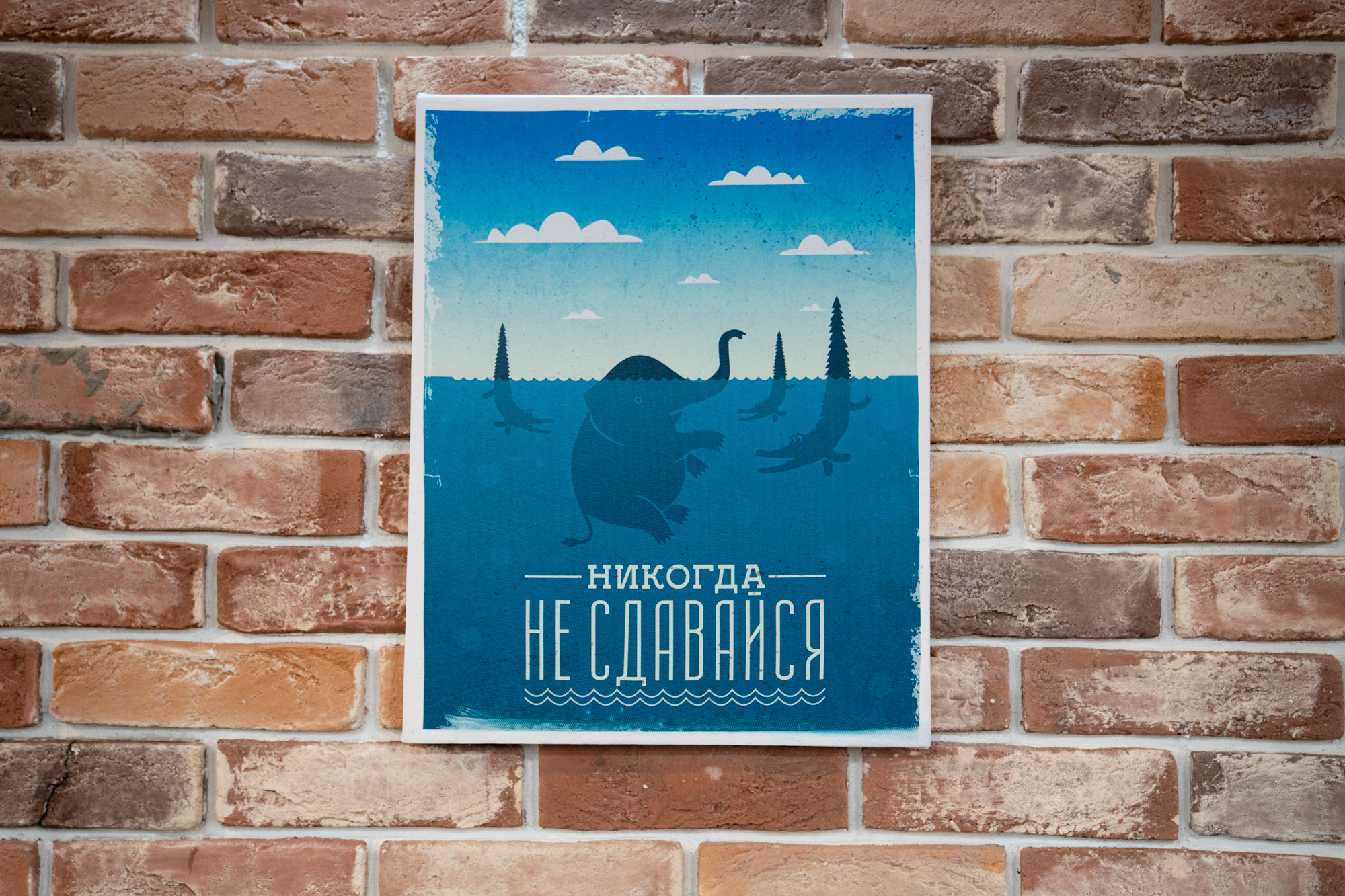 17.09 | Кадры будущего (открытие профильной смены). Репортажный фотограф Света Асадчая