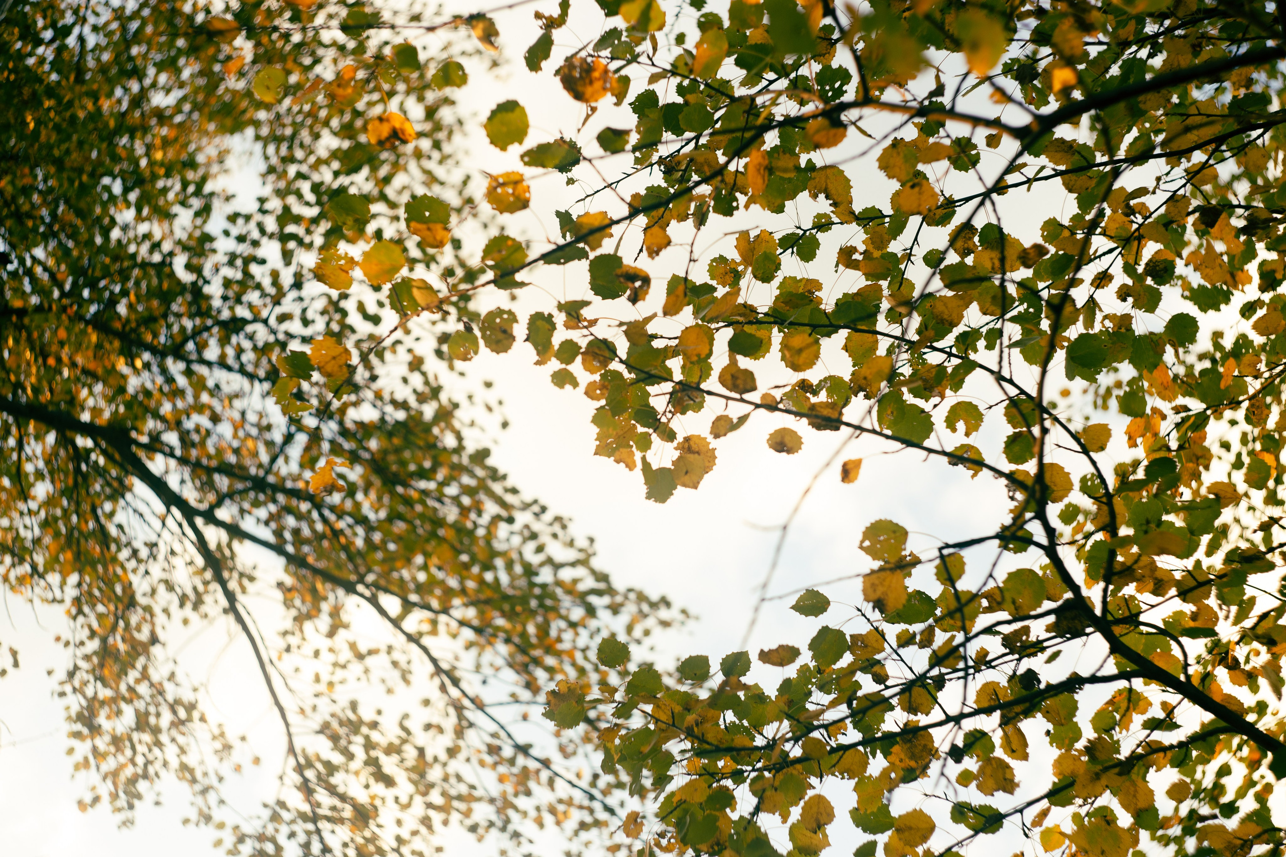 Сентябрь 2023. Efremovaphoto.ru