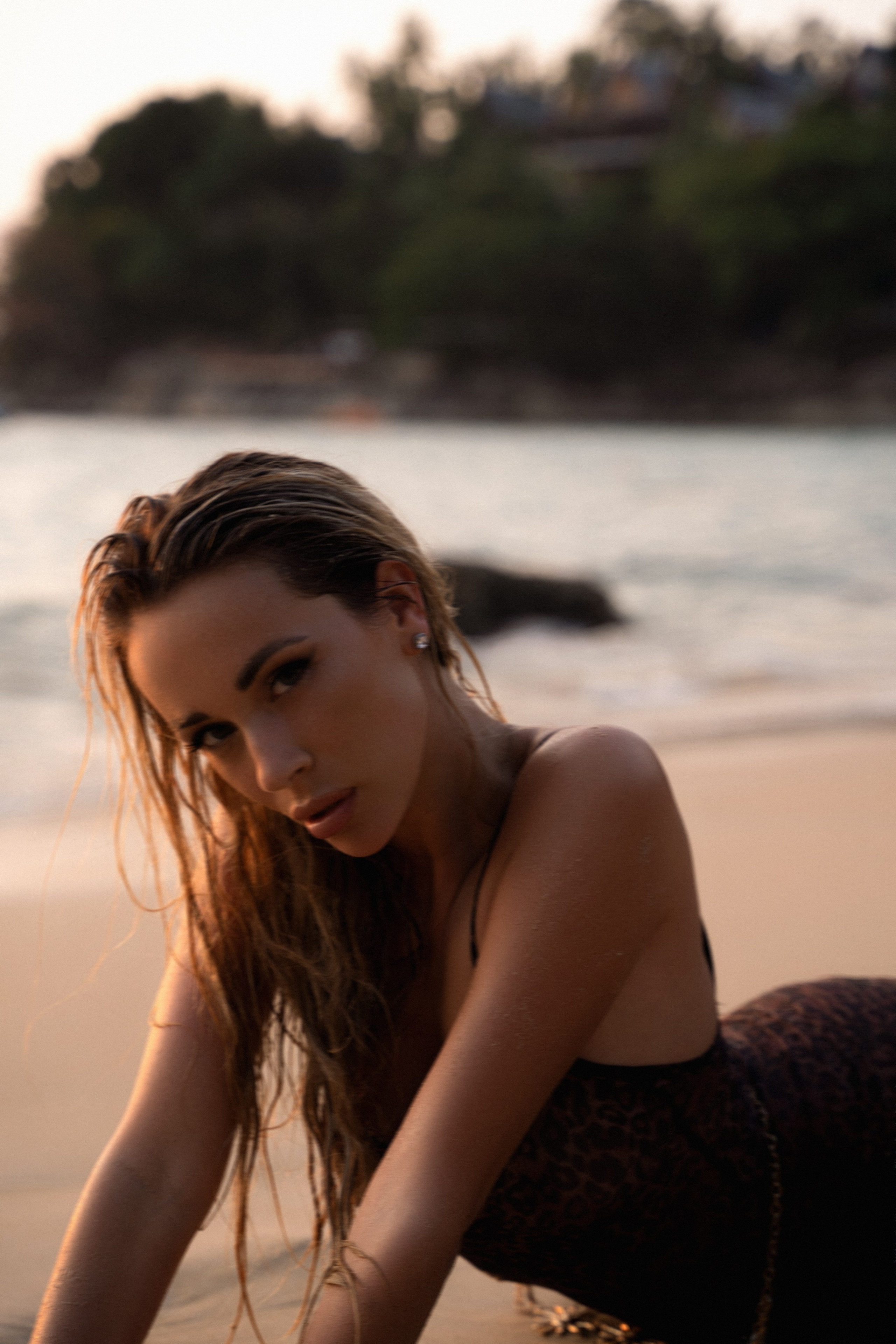 Leopard at sunset. Фотограф Маргарита Константинова ПХУКЕТ КАО ЛАК, по всей России и Миру