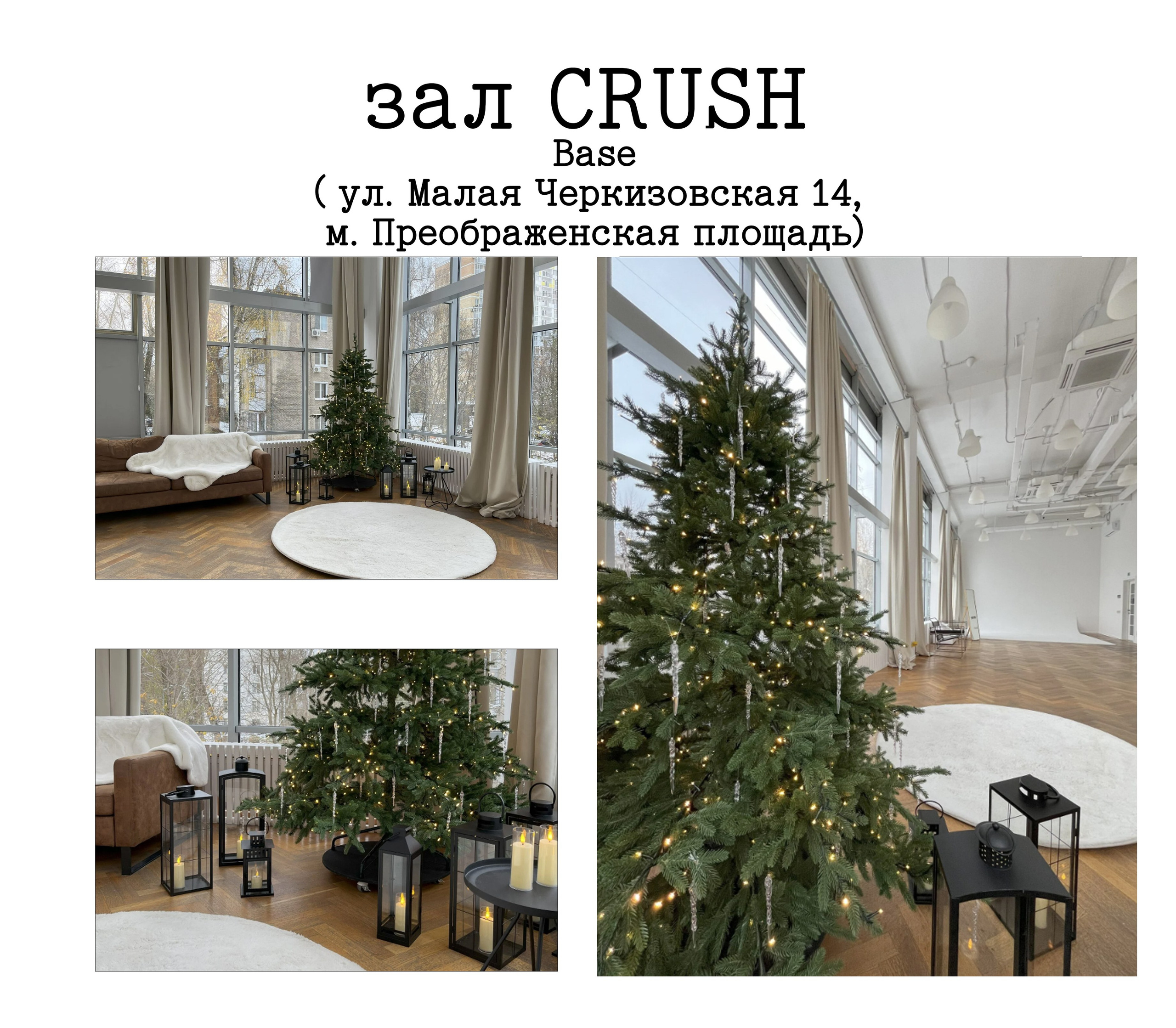 🎄 НОВЫЙ ГОД 🎄. Фотограф Алина Лебедь