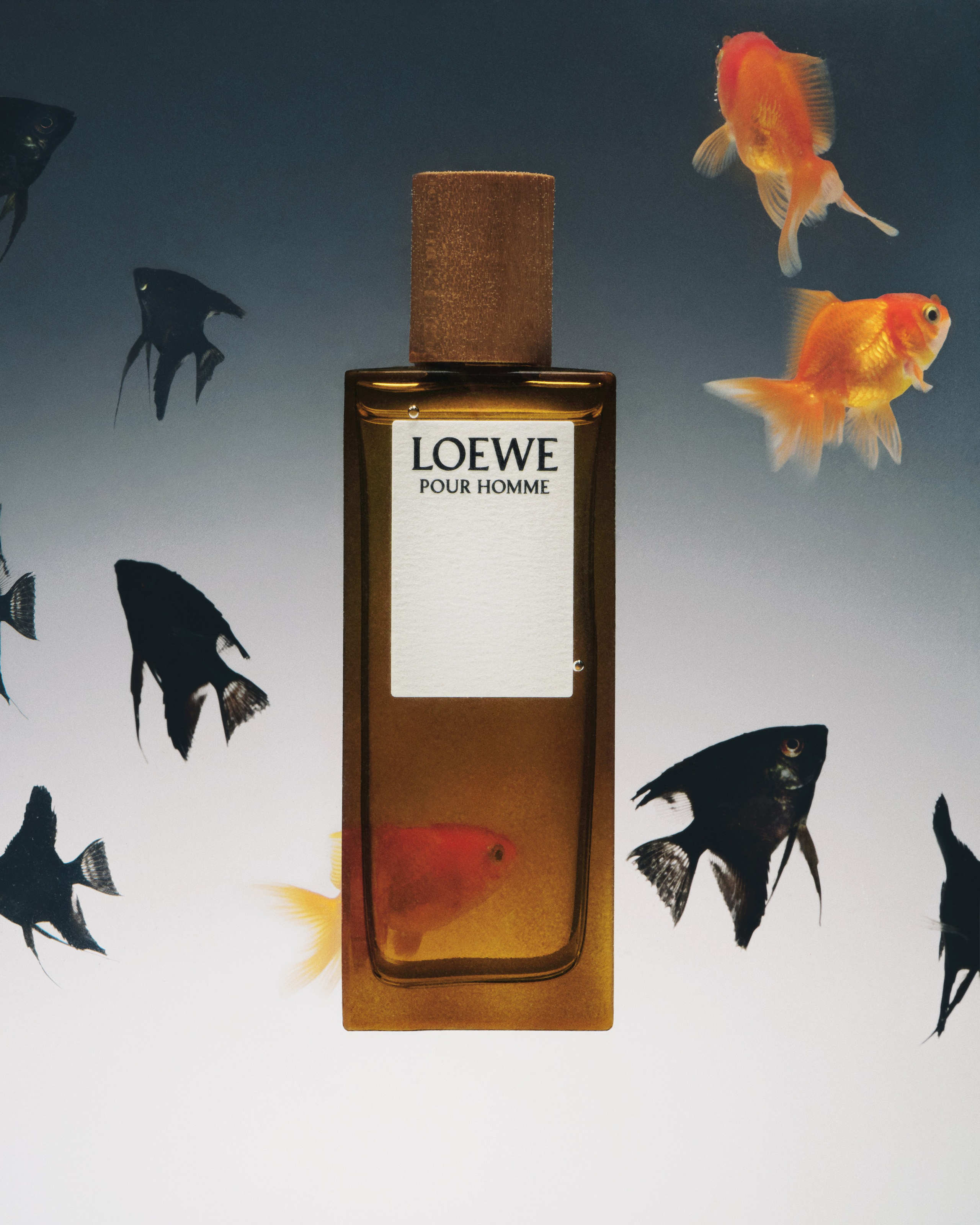 Campaign GOLDEN APPLE. Nadezhda Diskant is a Moscow and Saint Petersburg based photographer