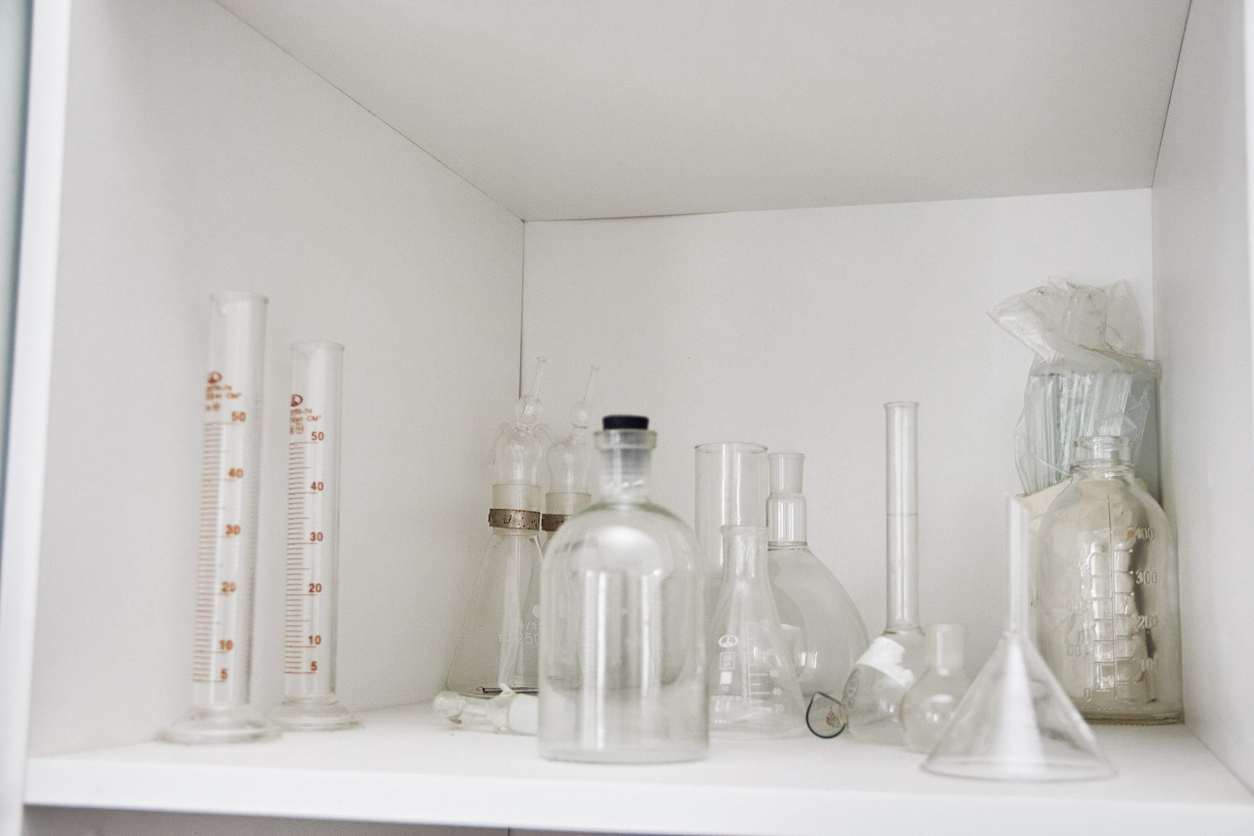 Экскурсия «Агроферма-Катынь». Фотограф в Смоленске Ася Польшина