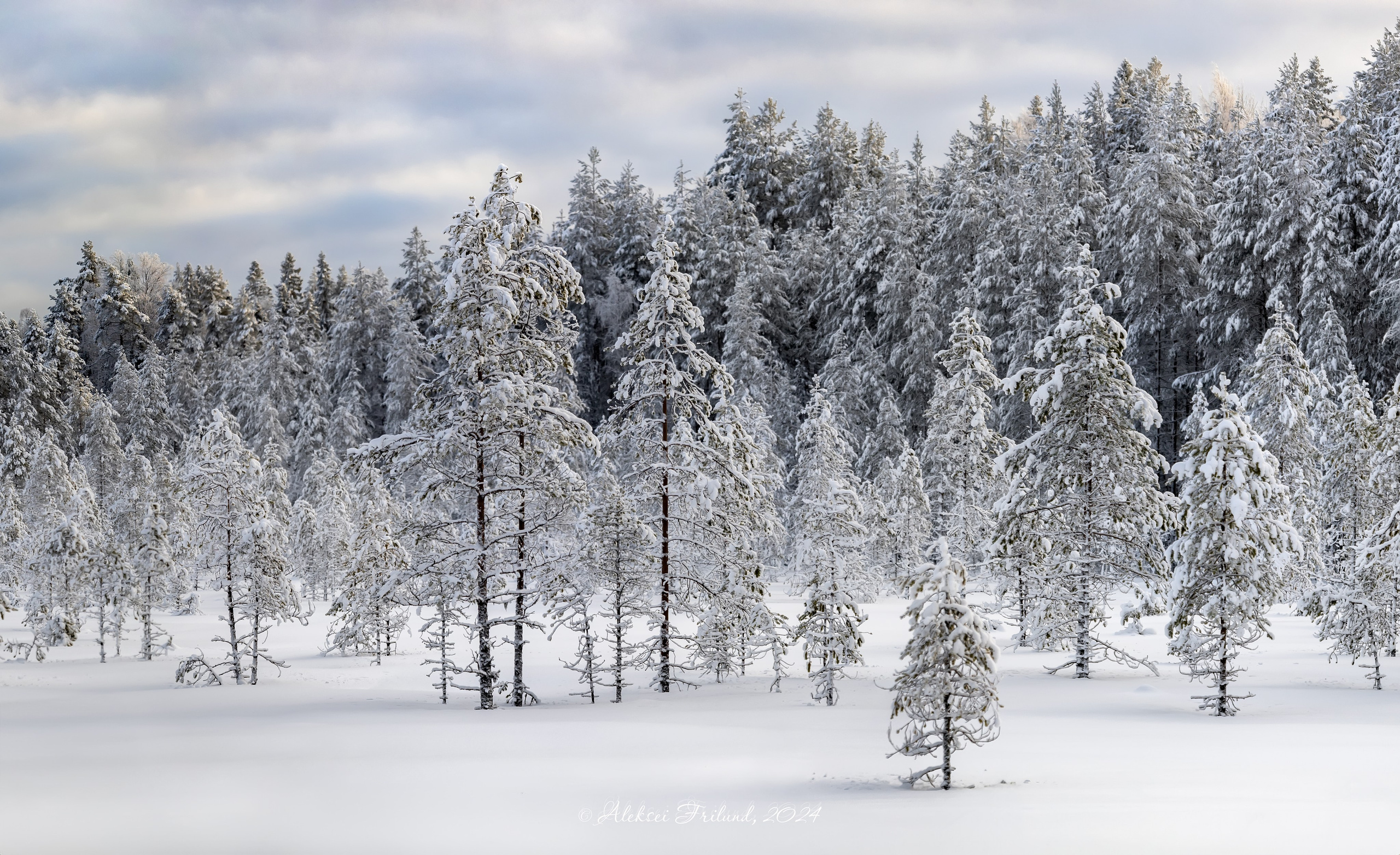 Природа Карелии. Аэросъемка. Фото и Видео в Карелии. Алексей Фрилунд
