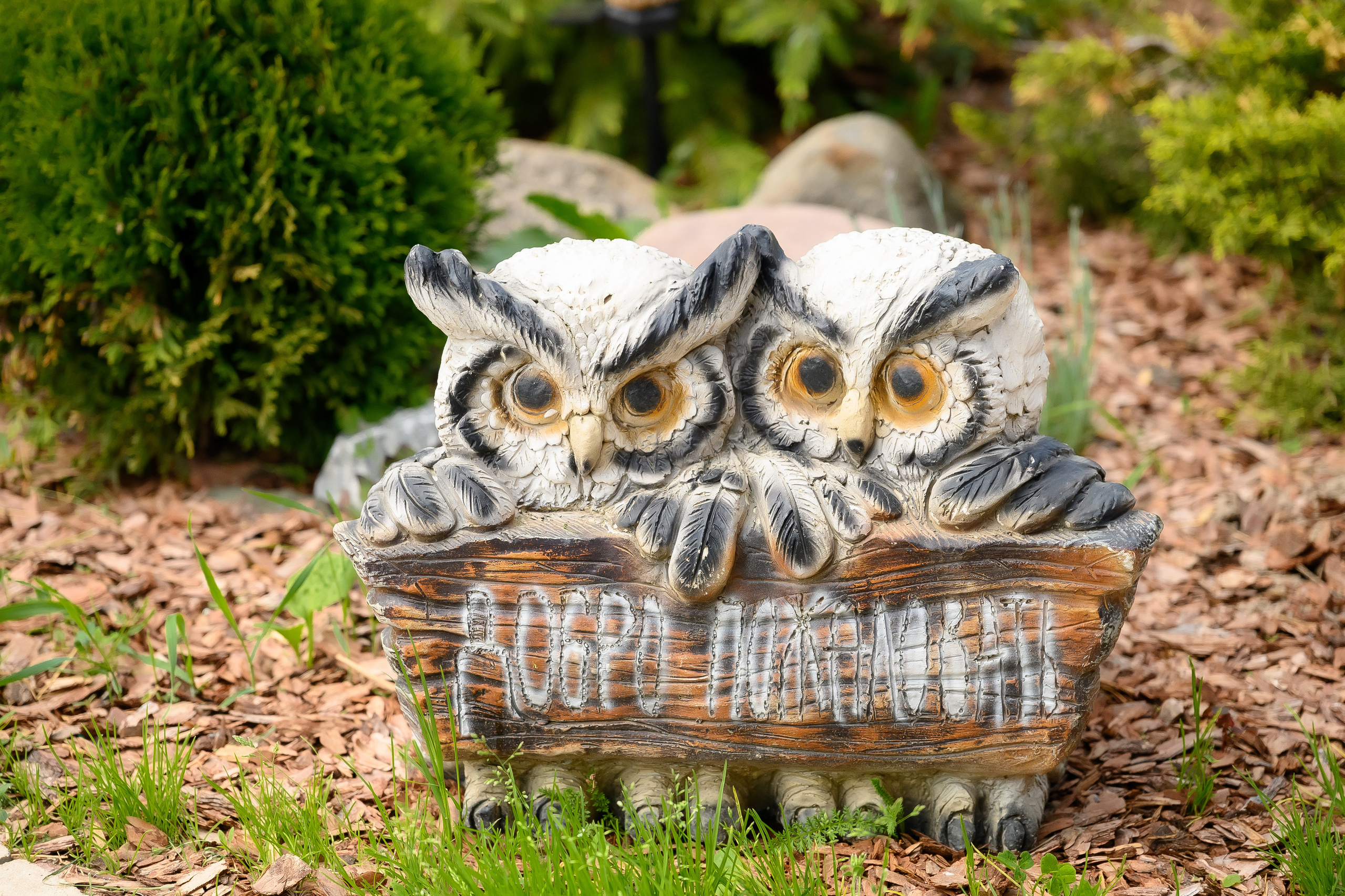 День рождения Наташи