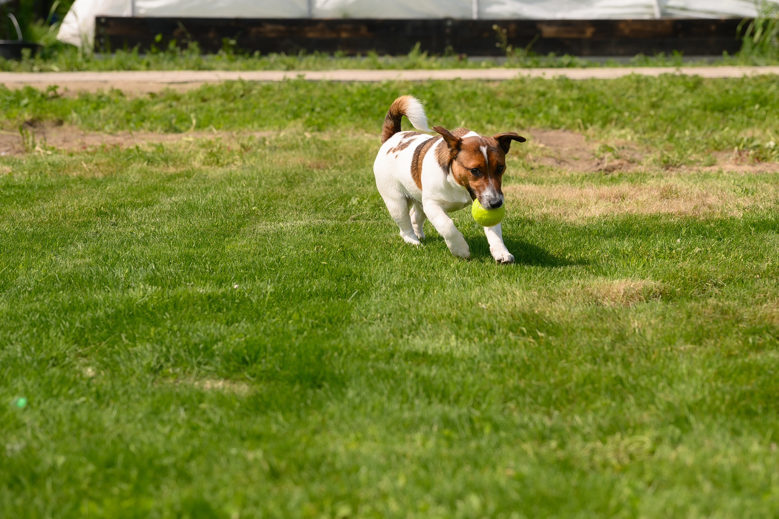 День рождения Наташи