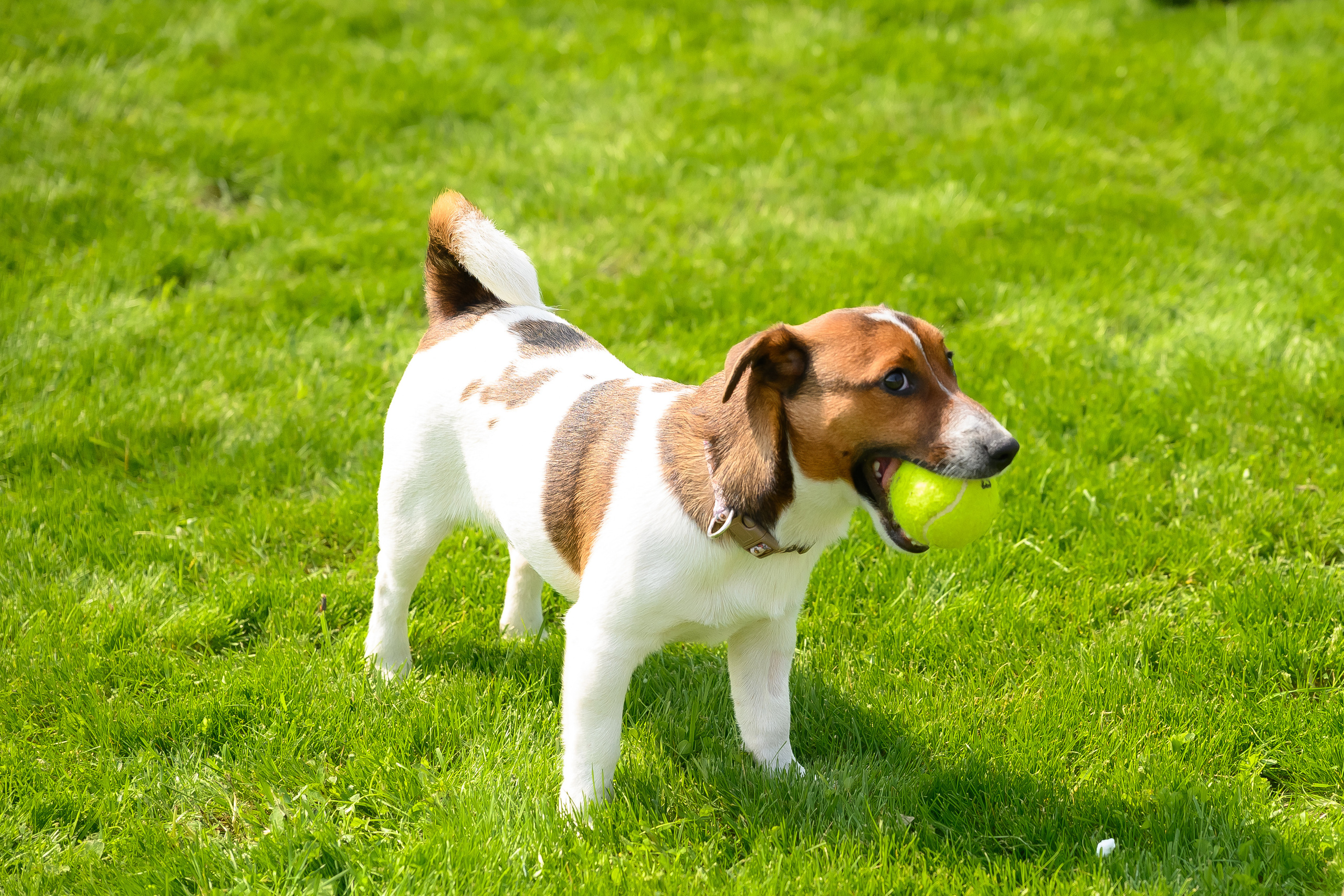 День рождения Наташи