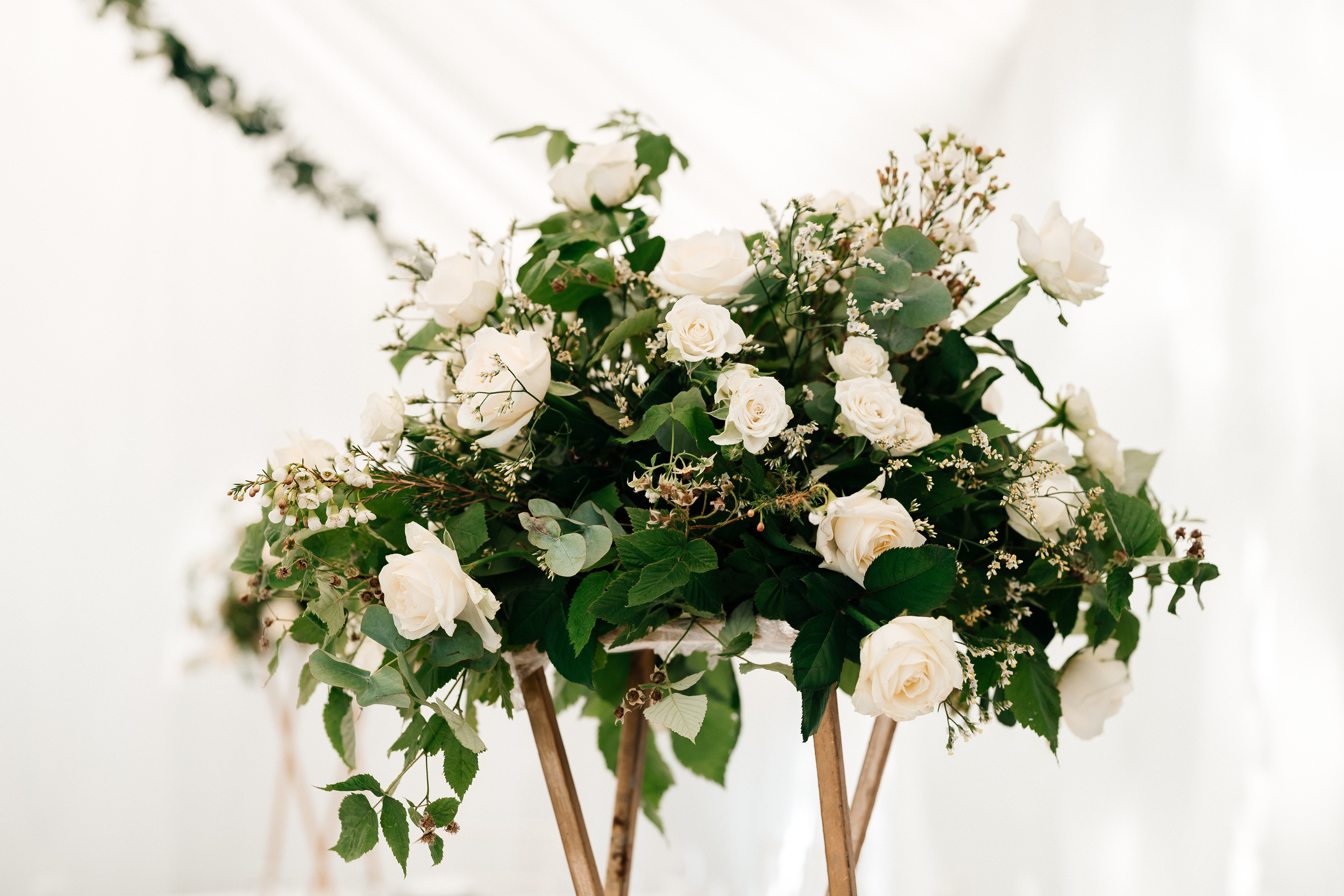 Анастасия + Кирилл