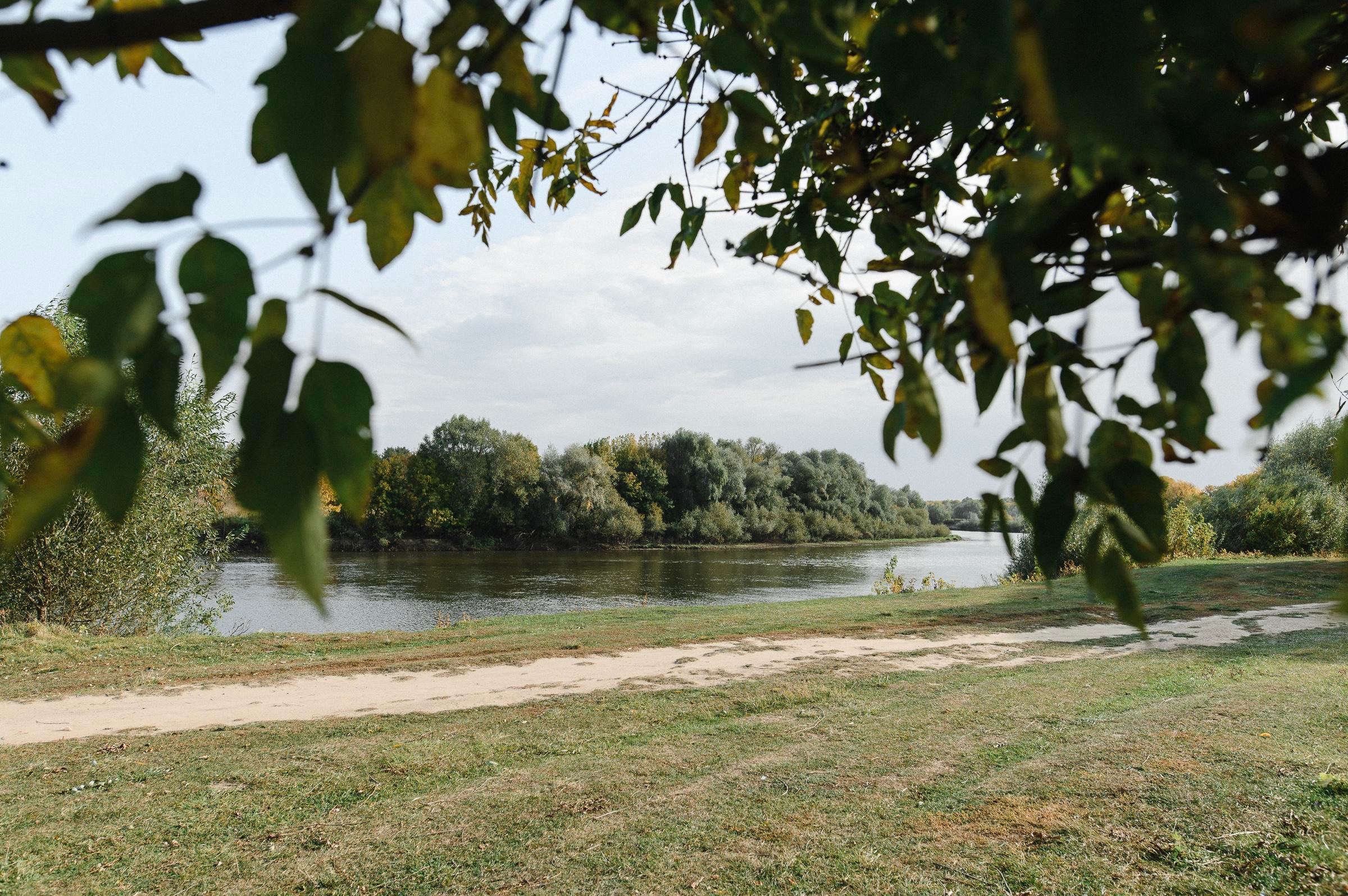 Прогулка по лугу. Коммерческий фотограф в Брянске Ольга Вороная