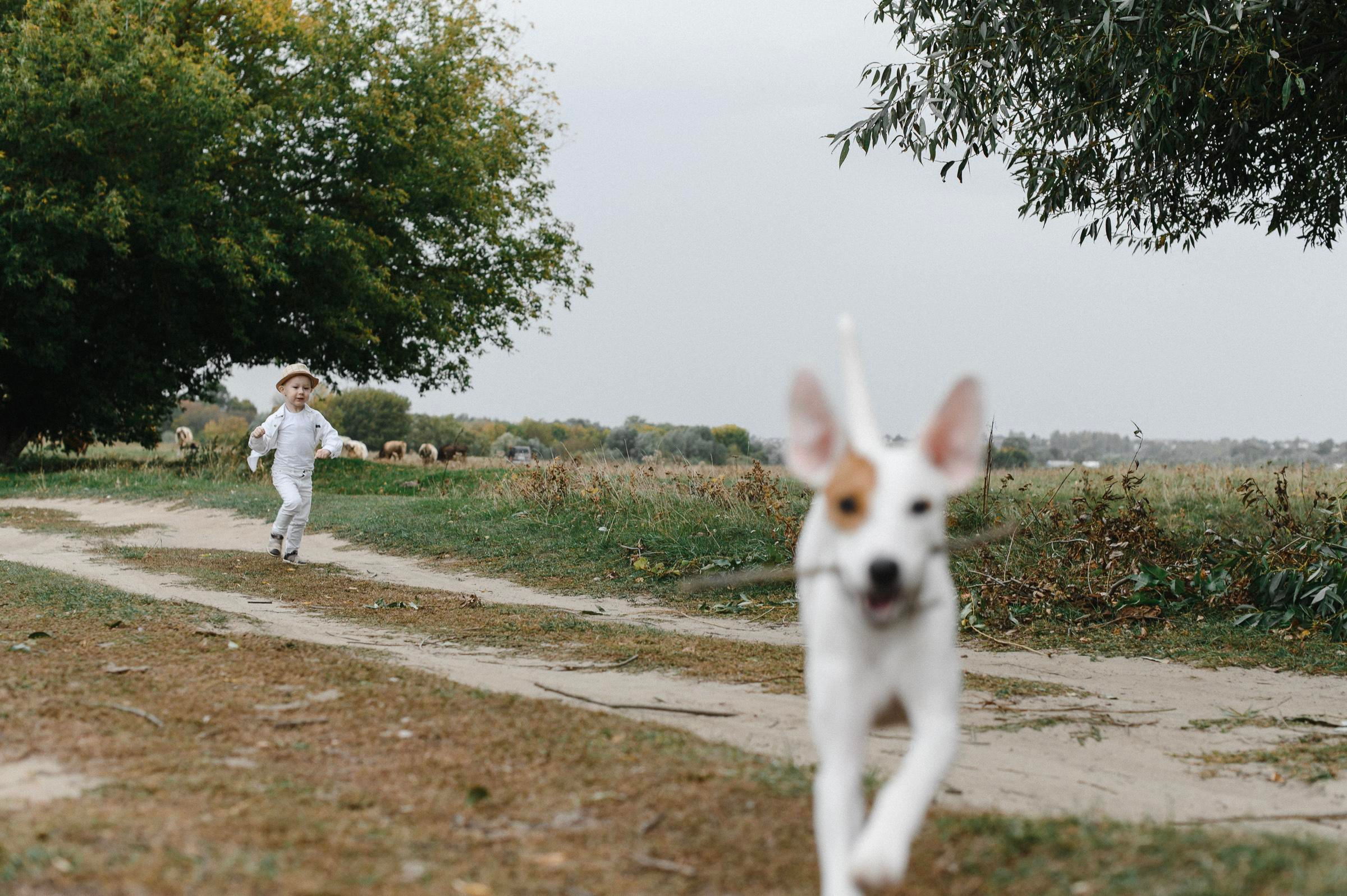 Прогулка по лугу. Коммерческий фотограф в Брянске Ольга Вороная