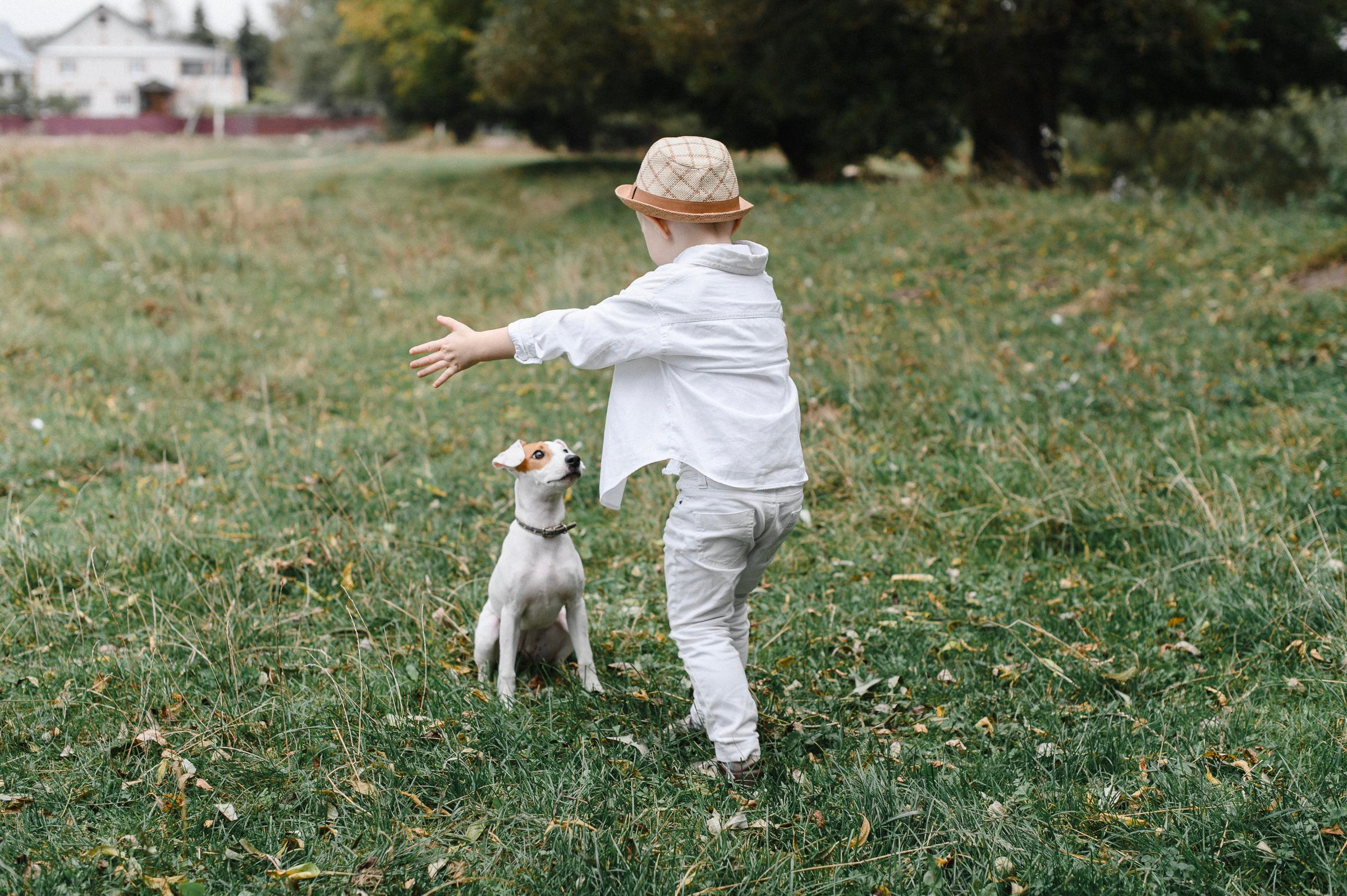Прогулка по лугу. Коммерческий фотограф в Брянске Ольга Вороная