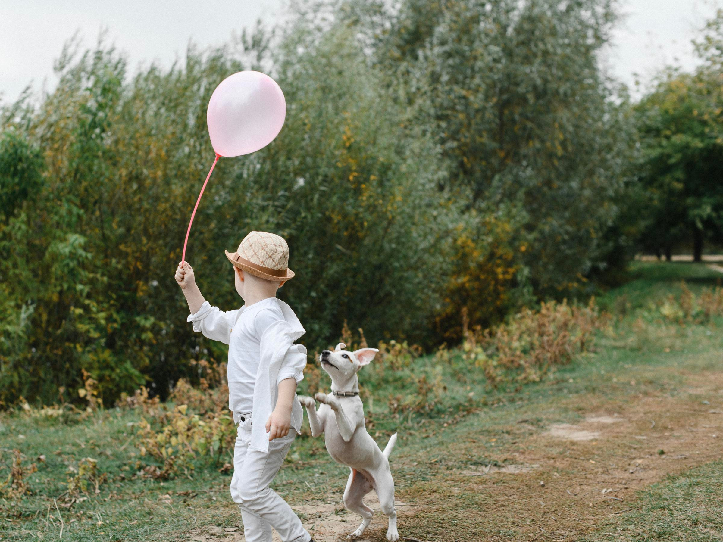 Прогулка по лугу. Коммерческий фотограф в Брянске Ольга Вороная