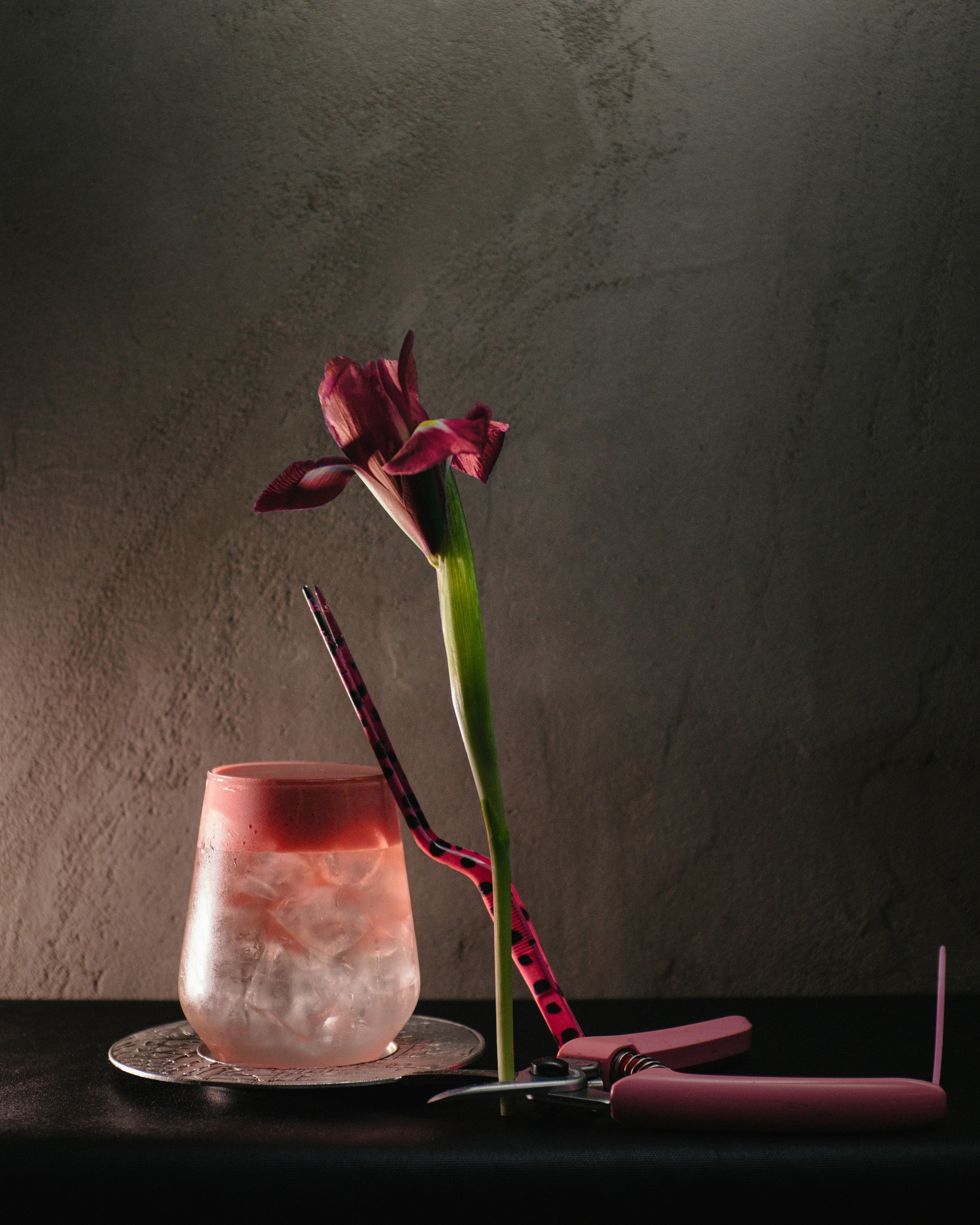 Doom of bloom x february bar. Портретный фотограф Алиса Санкт-Петербург