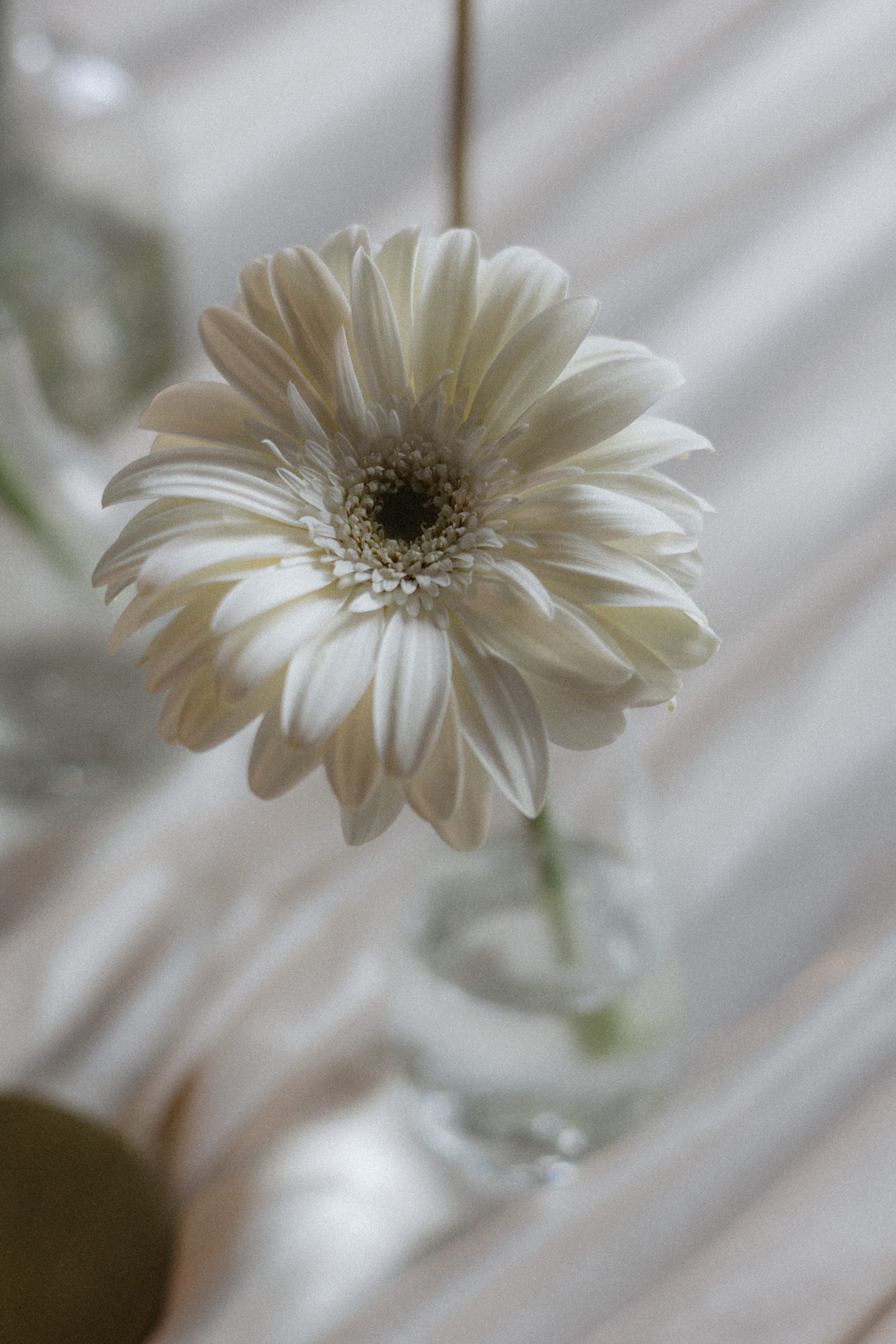 Свадебная фотосессия 21 Культ. Свадебный фотограф в Москве. свадебная фотосессия Москва. Фотограф в Москве Валерия Рожкова