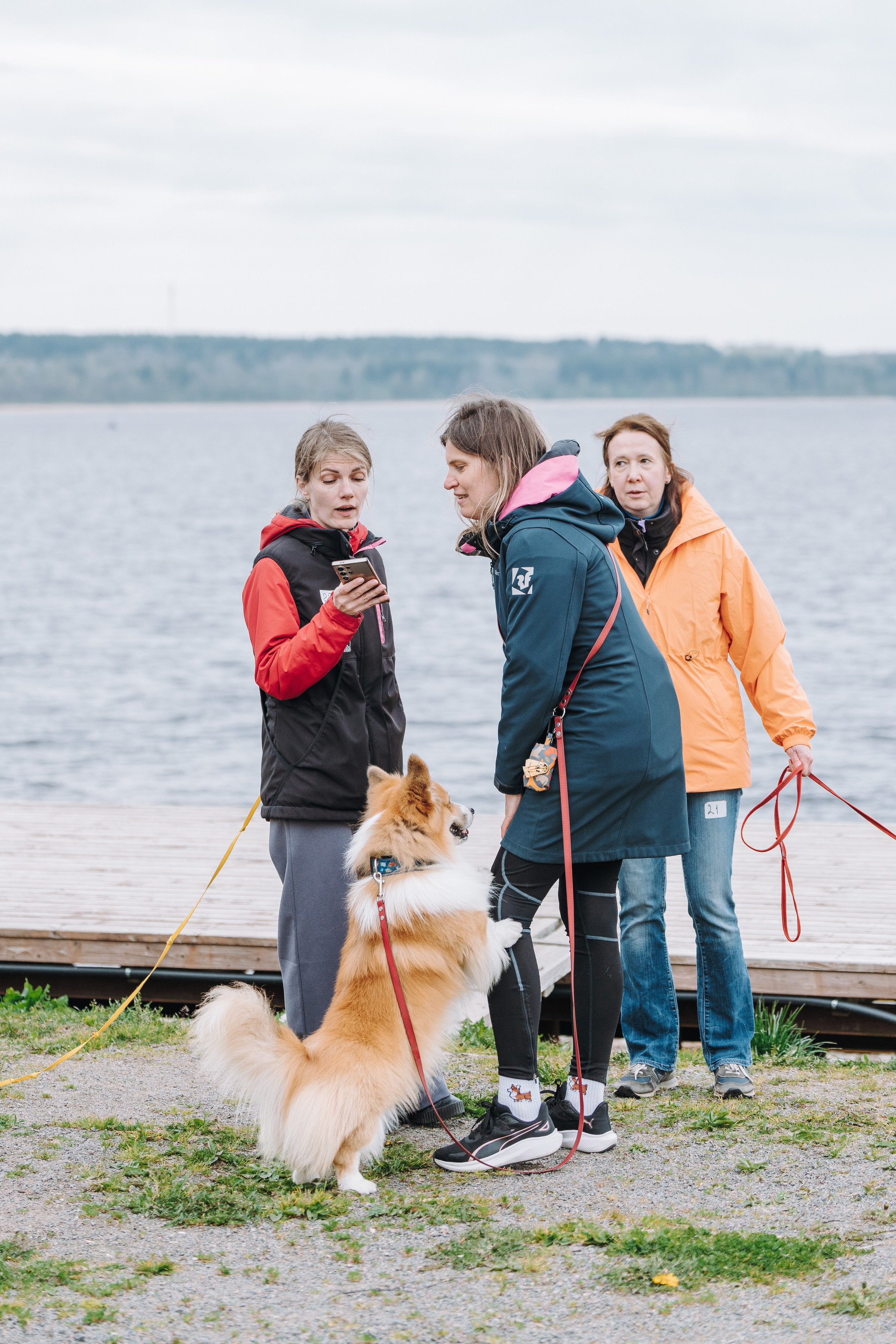 Соревнования по ноузворку в Лосево. Фотограф анималист в Спб недорого Олеся Майорова