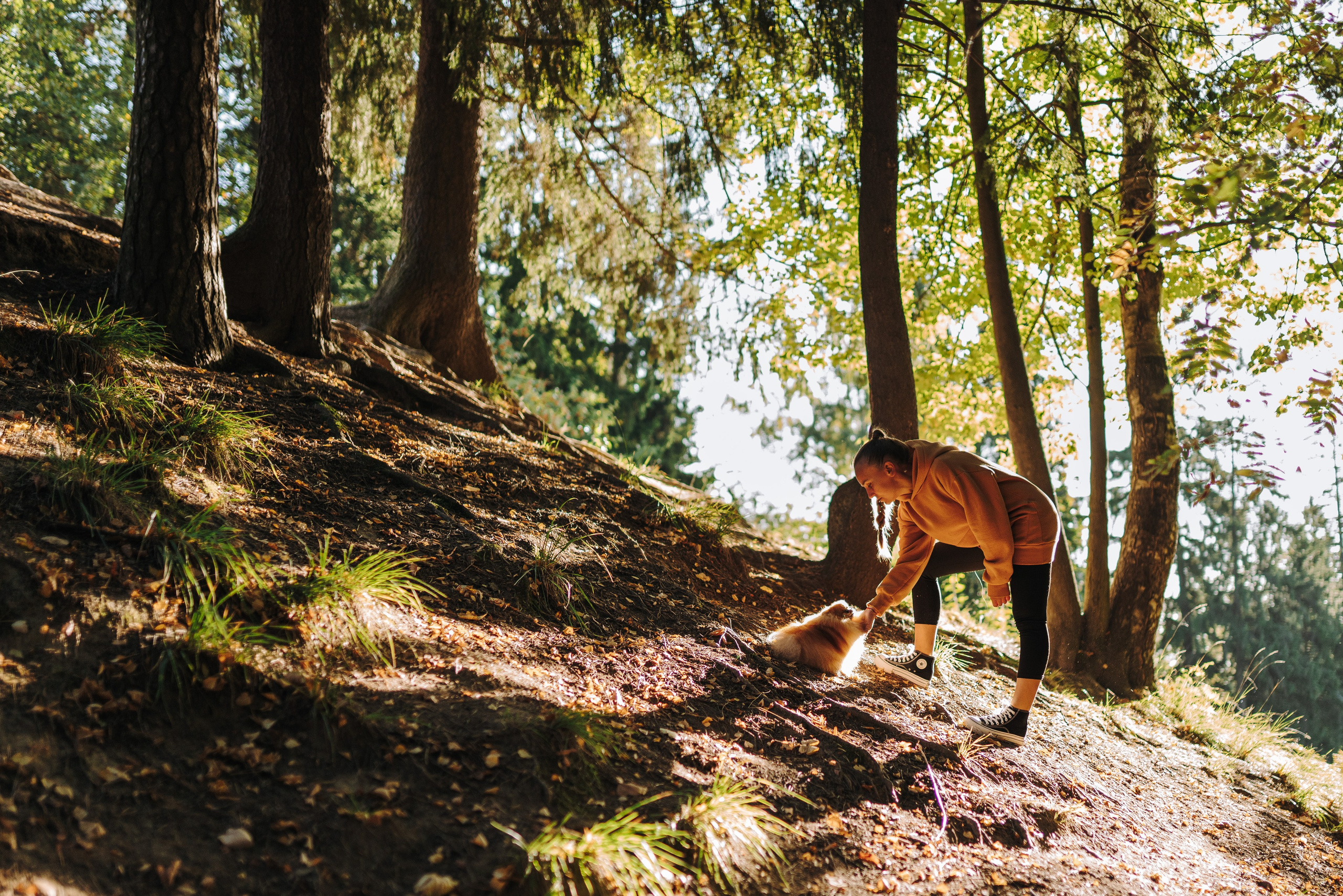 Наталья и Софа. Фотограф анималист в Спб недорого Олеся Майорова