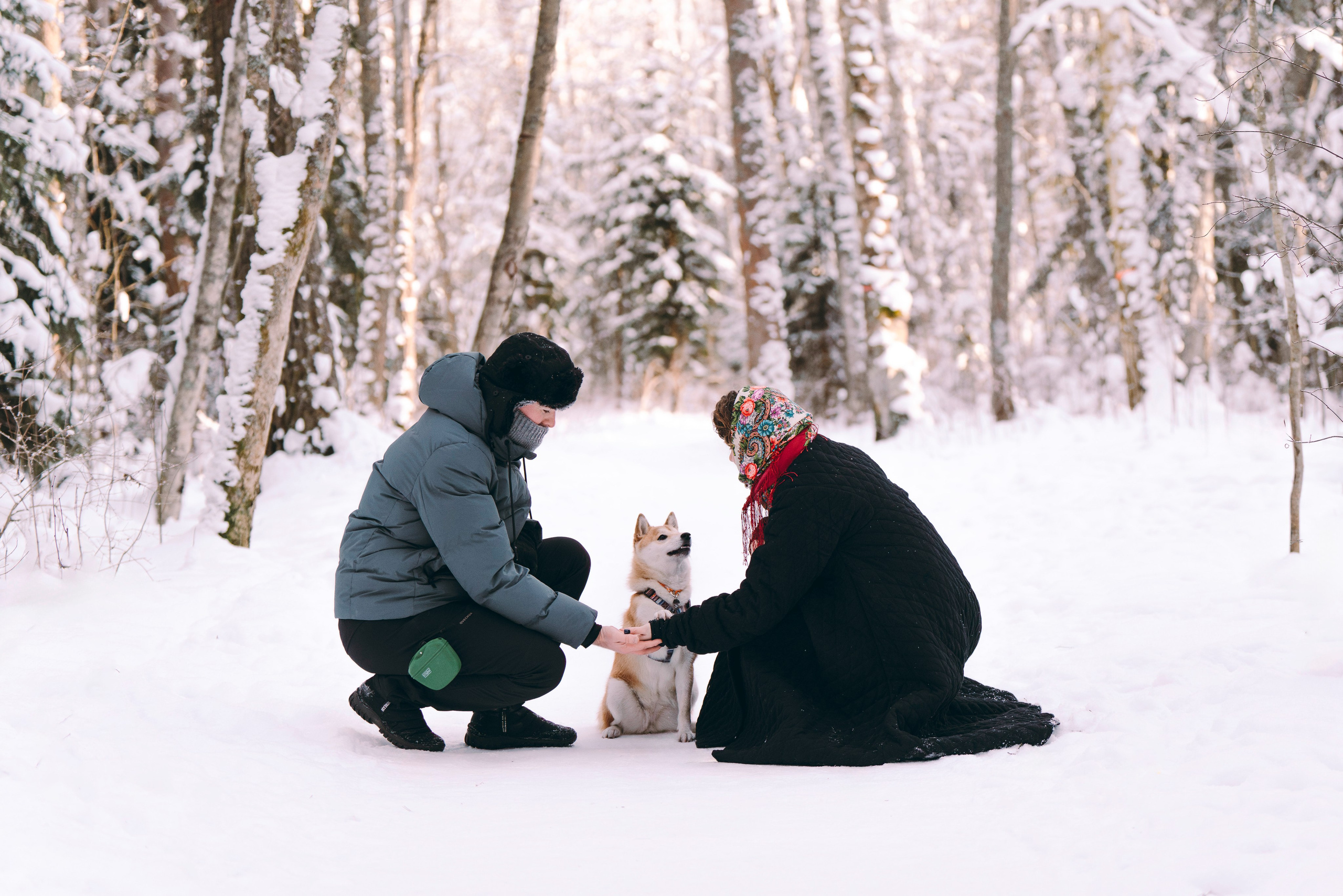 Каори, Анна и Антон. Фотограф анималист в Спб недорого Олеся Майорова