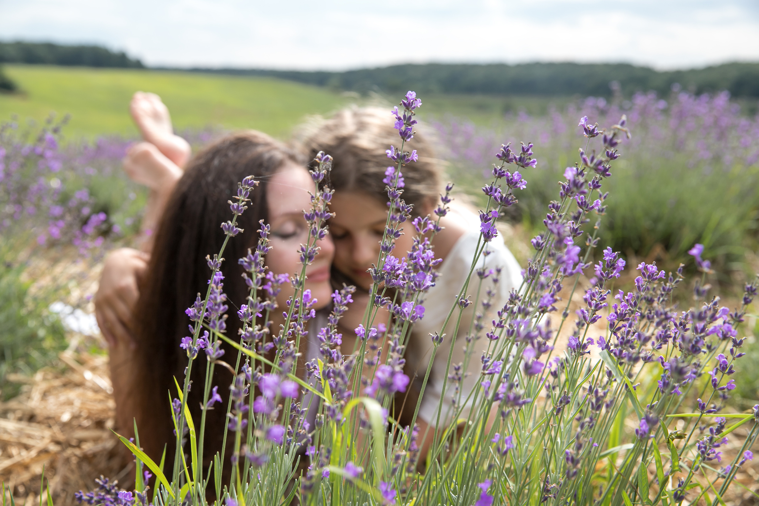Поздняя лаванда. Семейный и свадебный фотограф в Калининграде Вера Филипченко