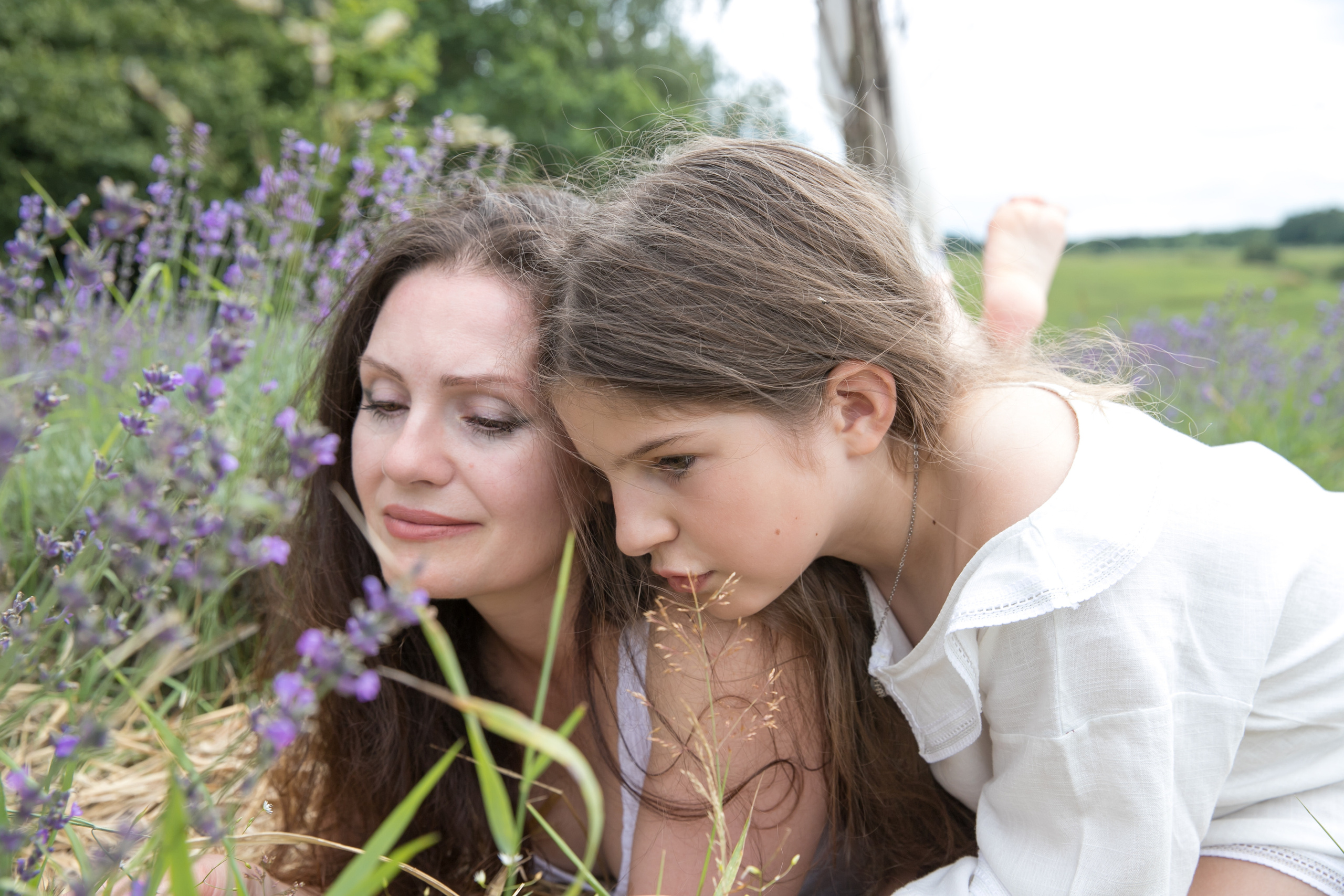 Поздняя лаванда. Семейный и свадебный фотограф в Калининграде Вера Филипченко