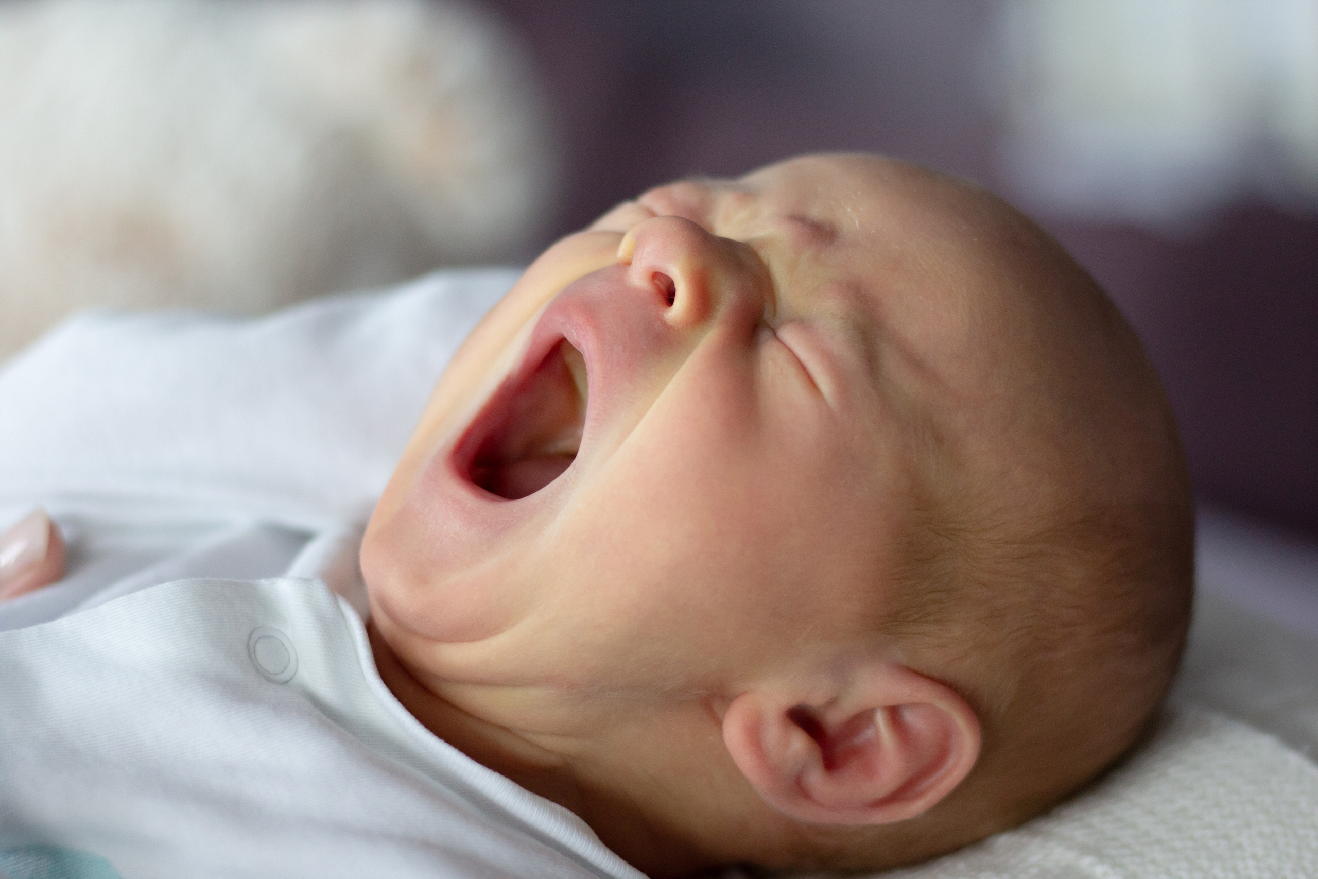 Я родился. Семейный и свадебный фотограф в Калининграде Вера Филипченко