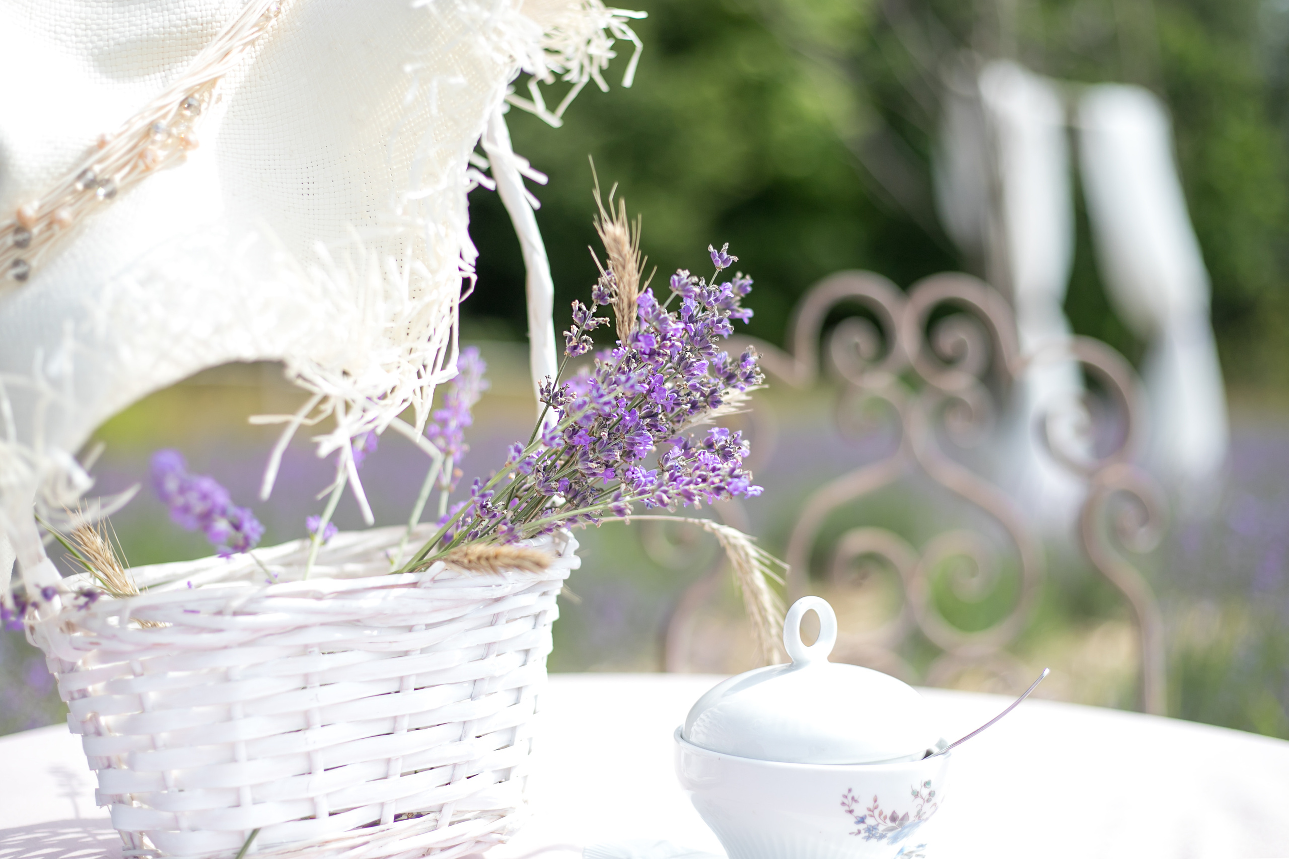 Поздняя лаванда. Семейный и свадебный фотограф в Калининграде Вера Филипченко