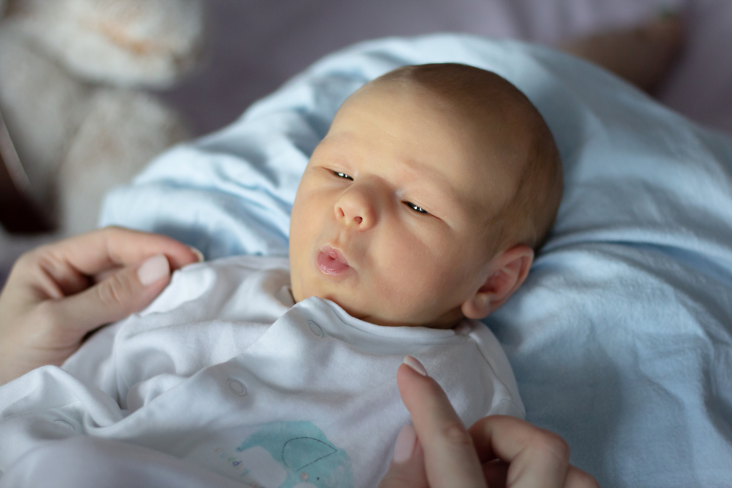 Я родился. Семейный и свадебный фотограф в Калининграде Вера Филипченко