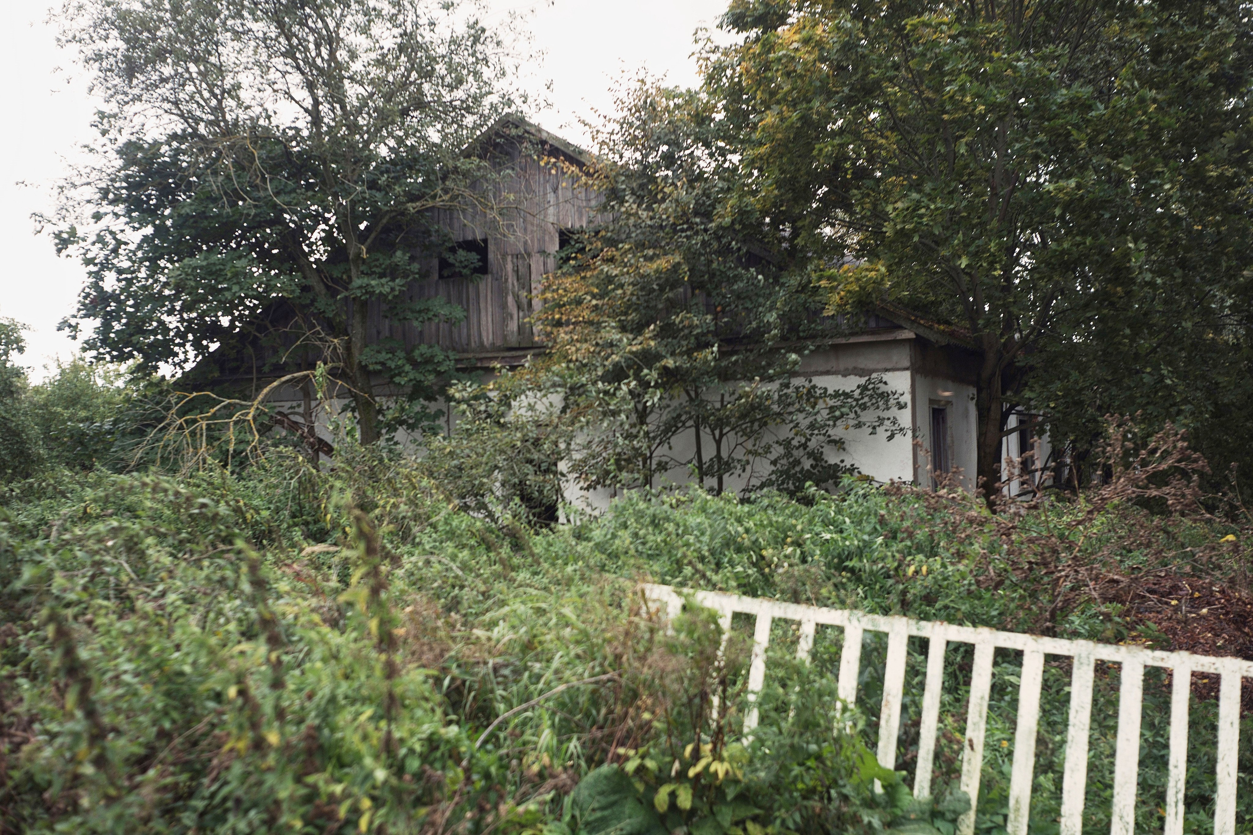 Чекалинцы 2. Дмитрий Ермаков. Фотограф