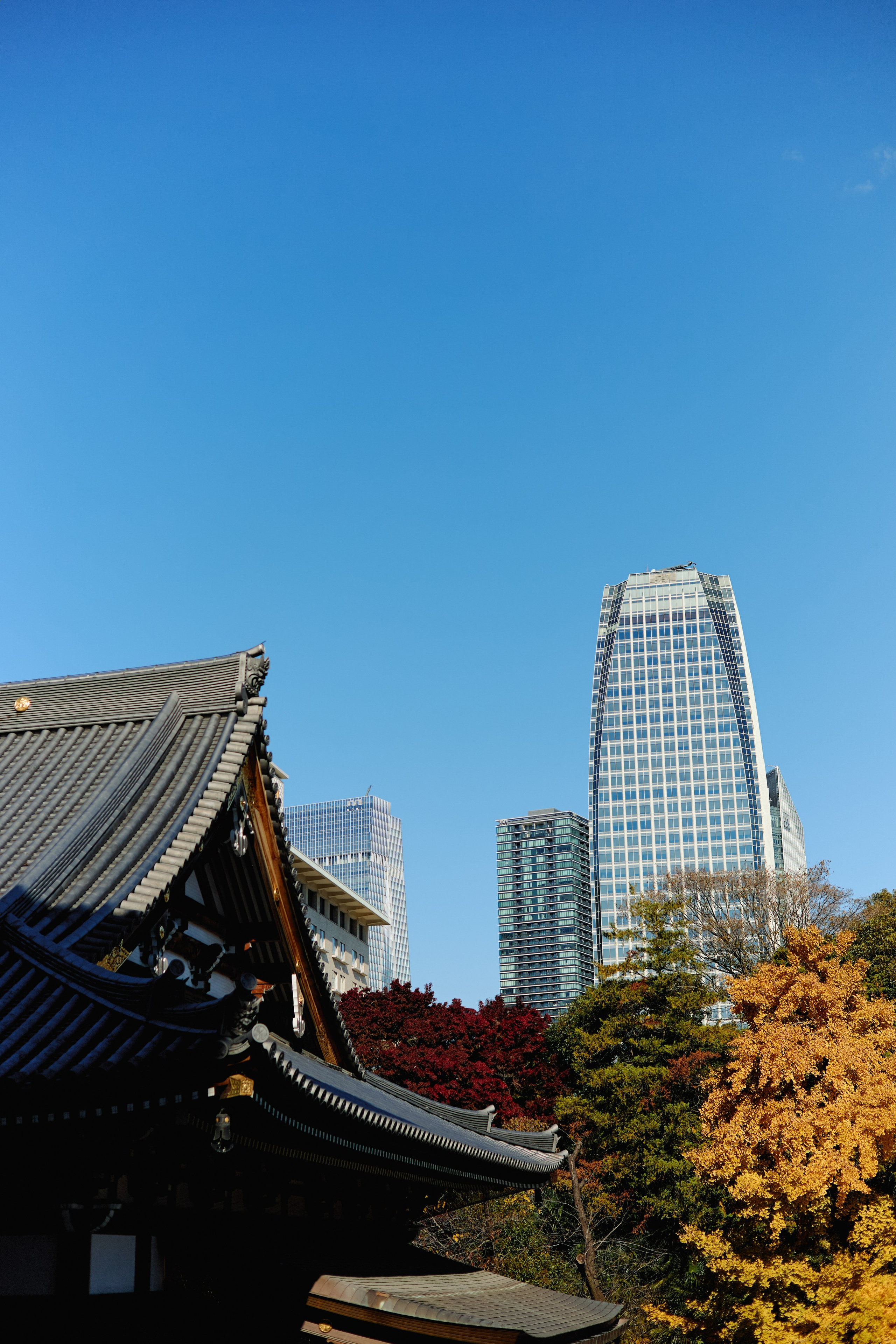 Япония. Профессиональный Фотограф во Владимире, в Москве и в Суздале — Полина Романычева