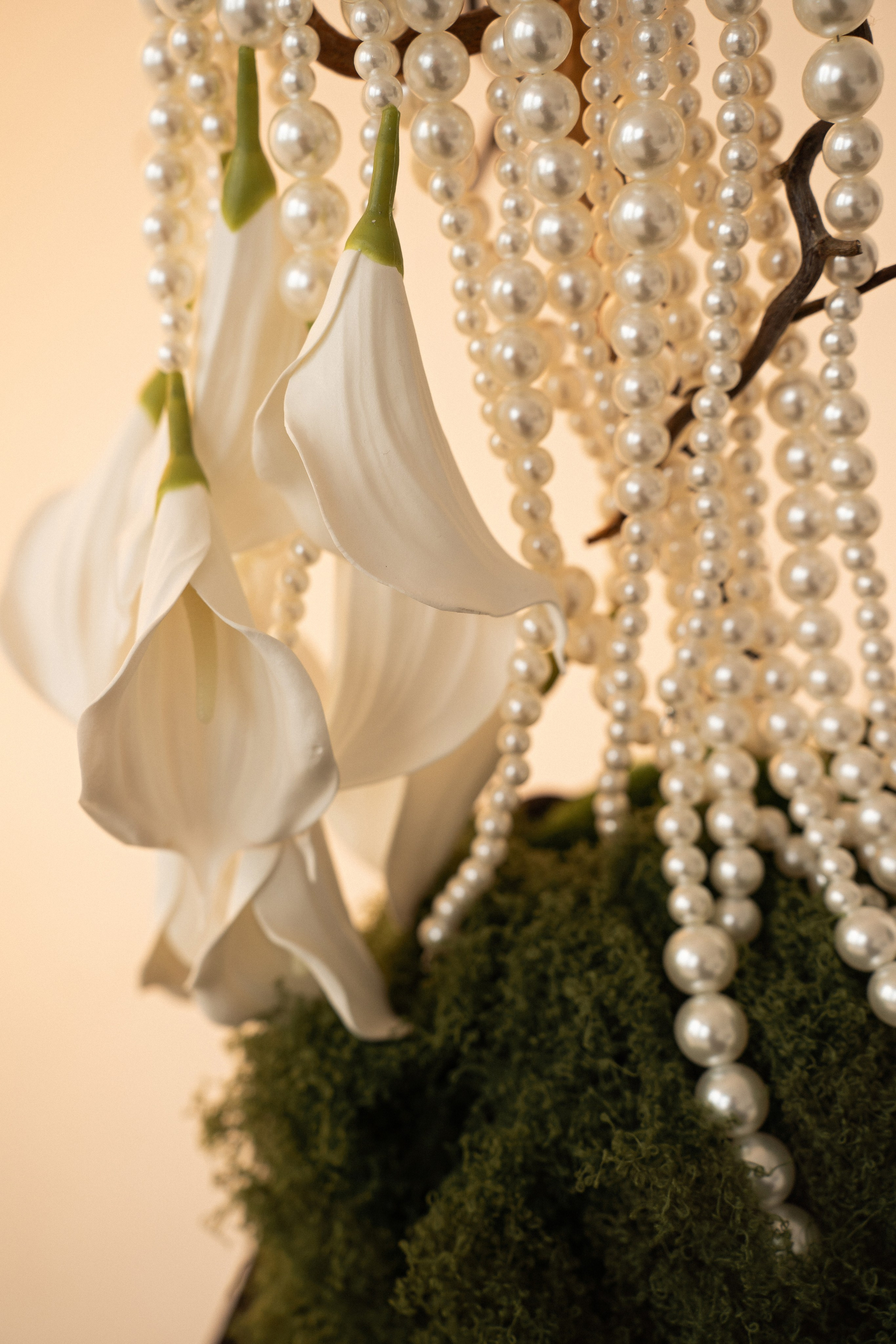 Артём и Алина. Семейный и портретный фотограф в г. Орск Алишер Азимов