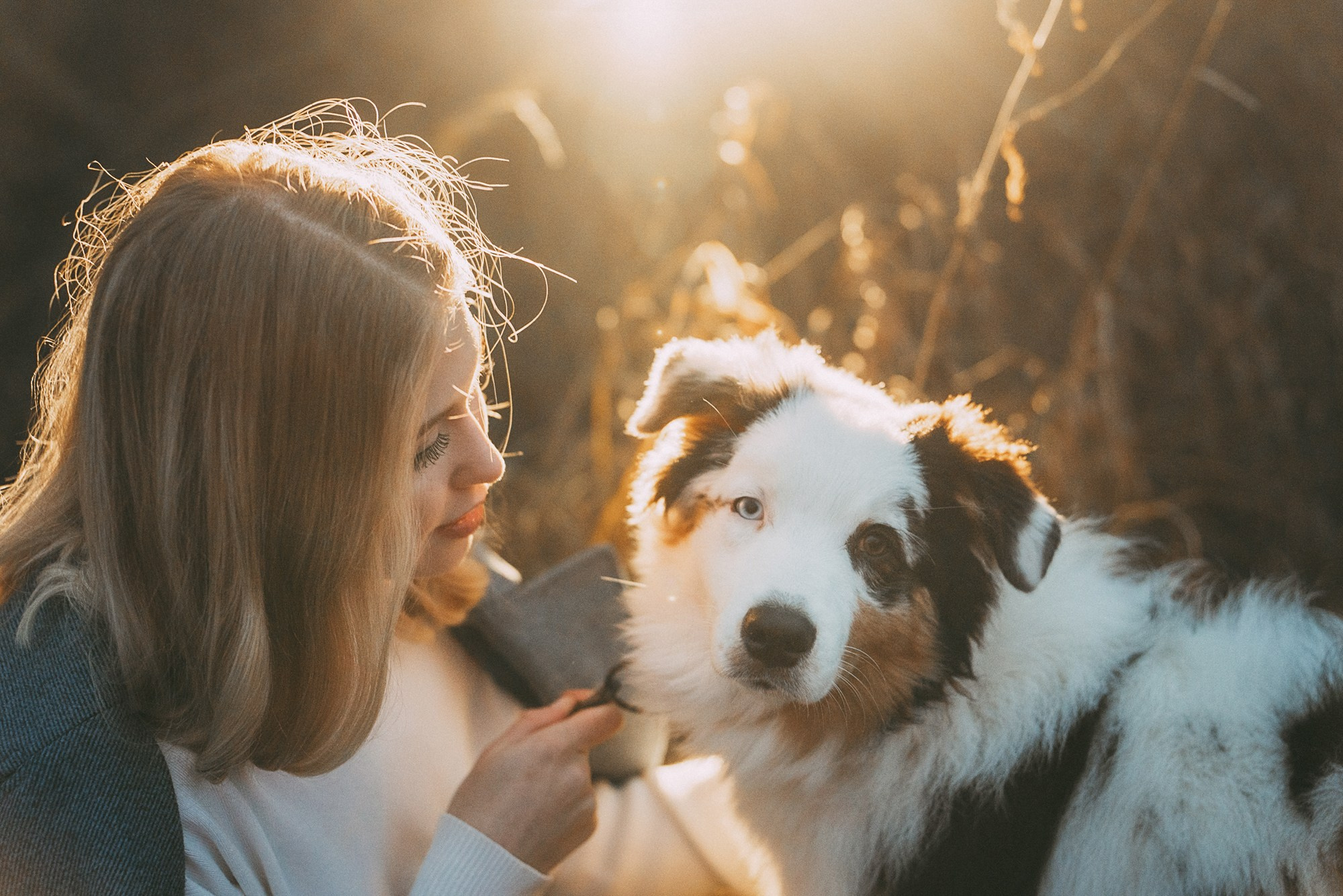 Лиза и Бублик. Фотограф анималист в Москве и Санкт-Петербурге Свиридова Анна