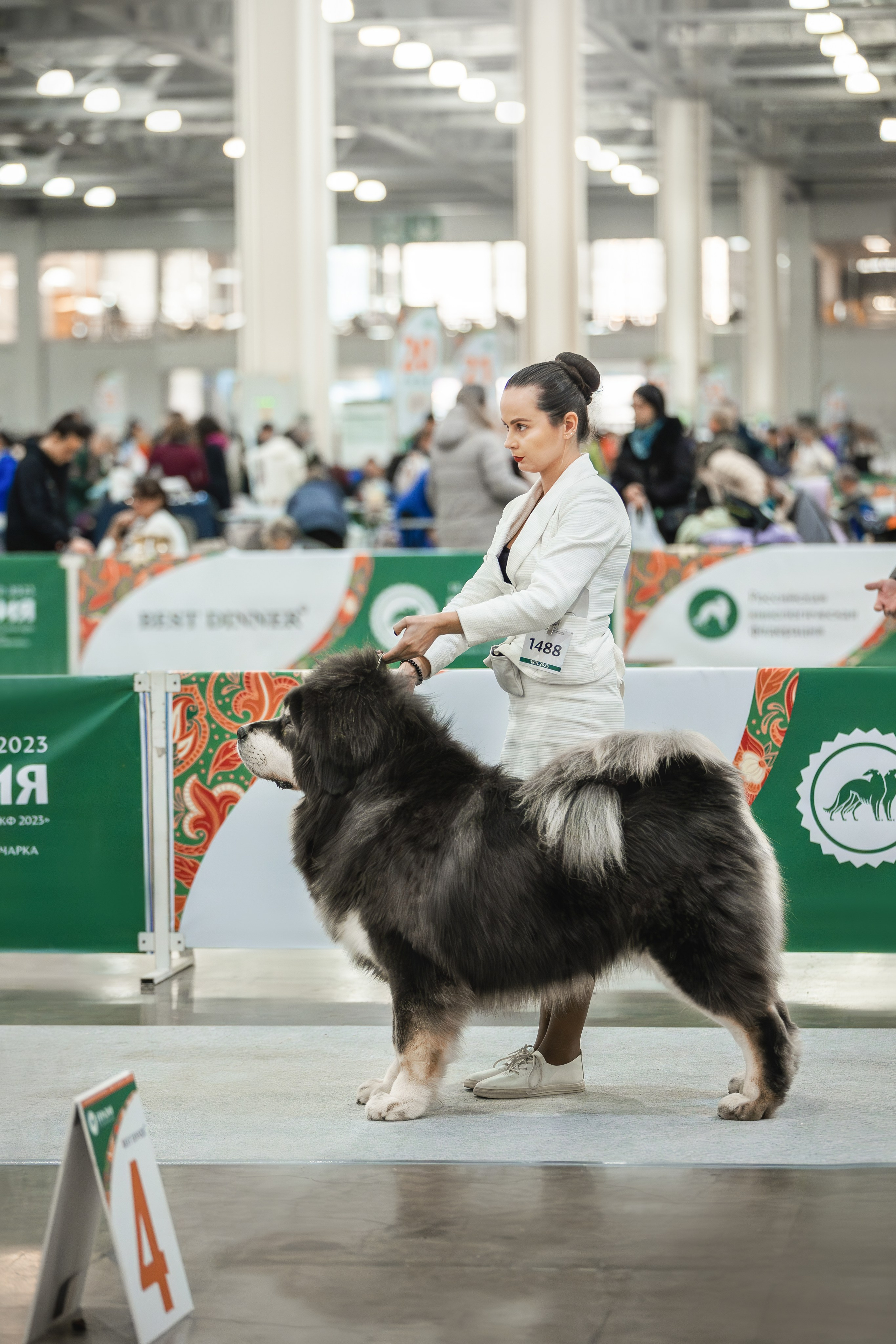 Евразия 2023. Фотограф анималист в Москве Майорова Евгения