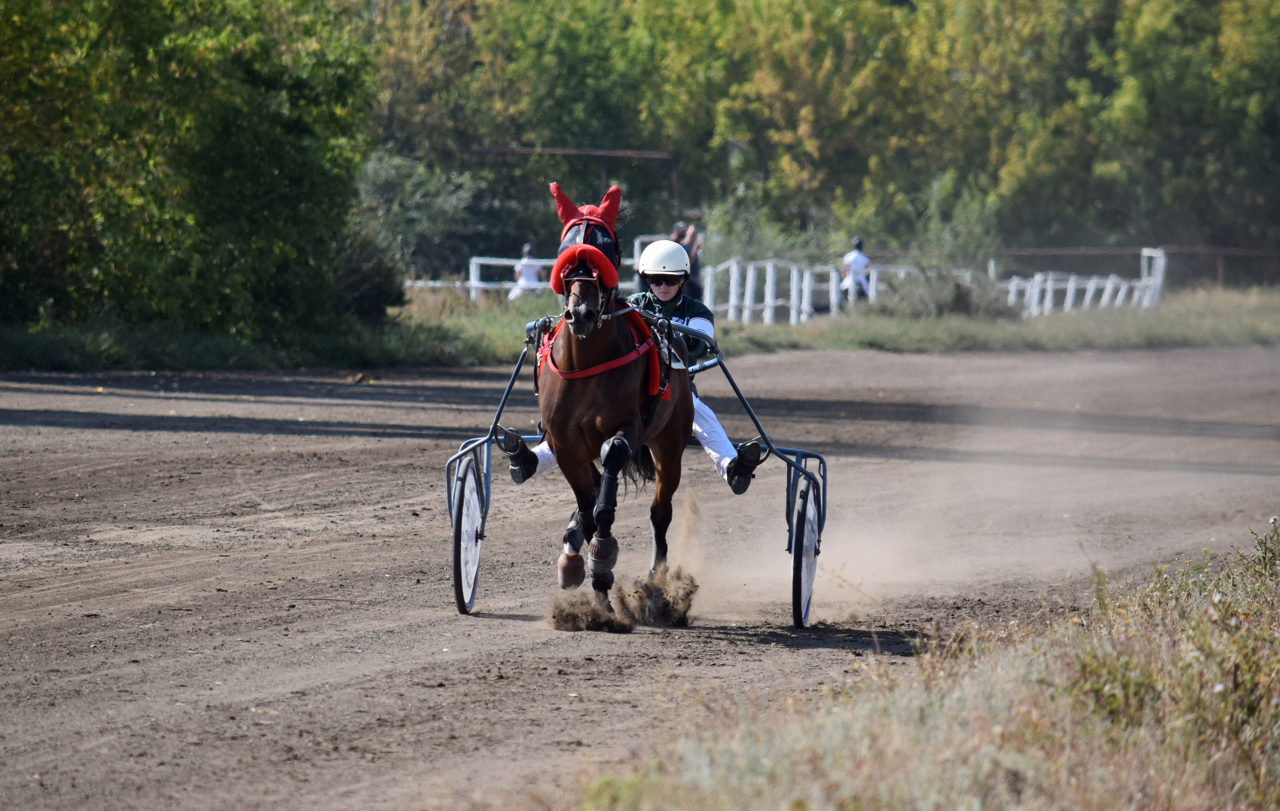 Кубок Губернатора, ипподром Саратов, 2019 г. Конный фотограф в Саратове Юлия Иванова