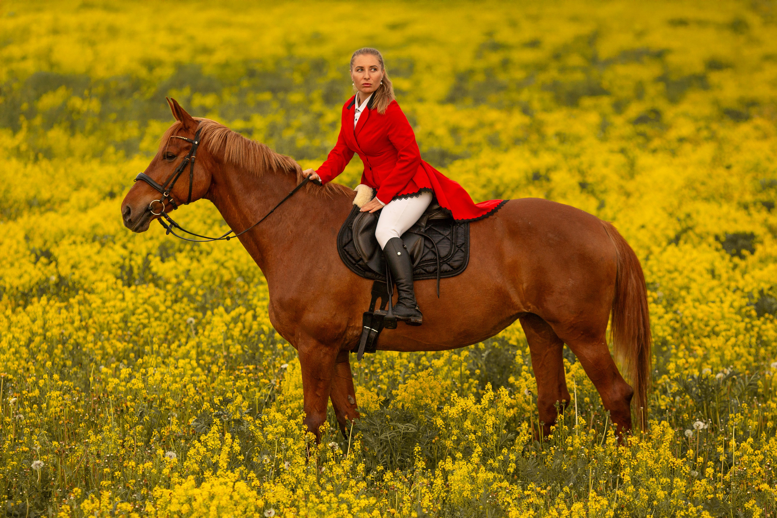 Фотосессия в цветущем поле