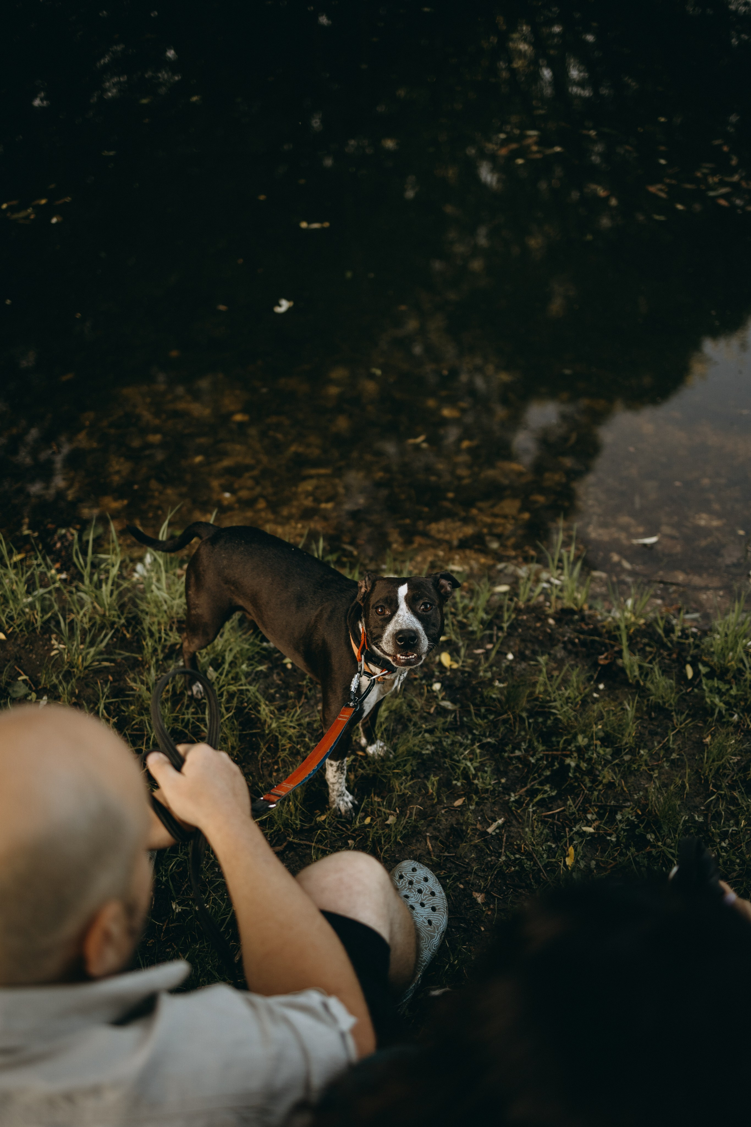 Татьяна, Сергей и их Булочка и Пончик. Фотограф — Анималист | Санкт-Петербург