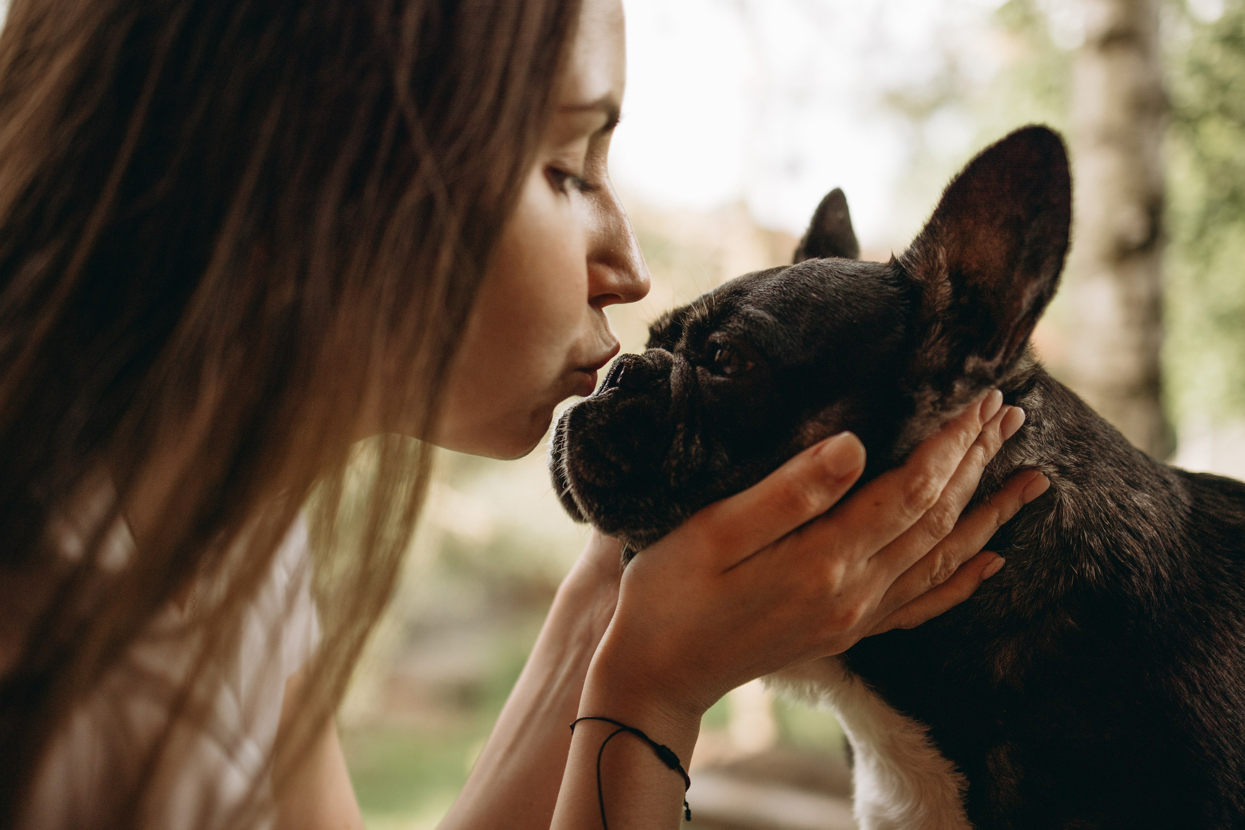 Софа и ее хвостики. Фотограф — Анималист | Санкт-Петербург