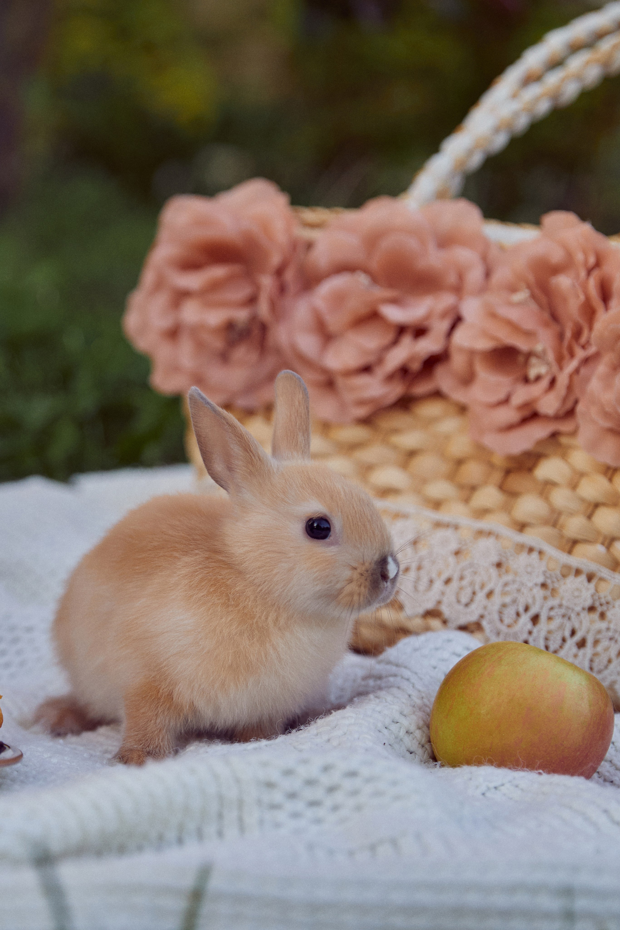 Арина. Фотограф