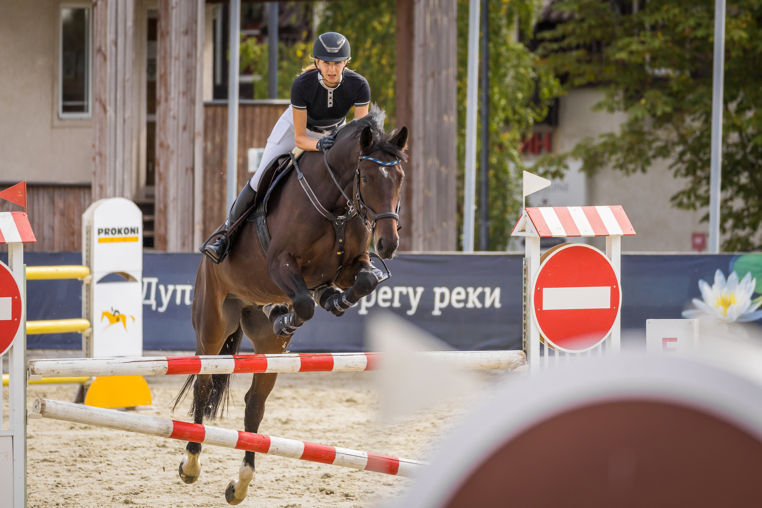 Конный спорт. Photomantis