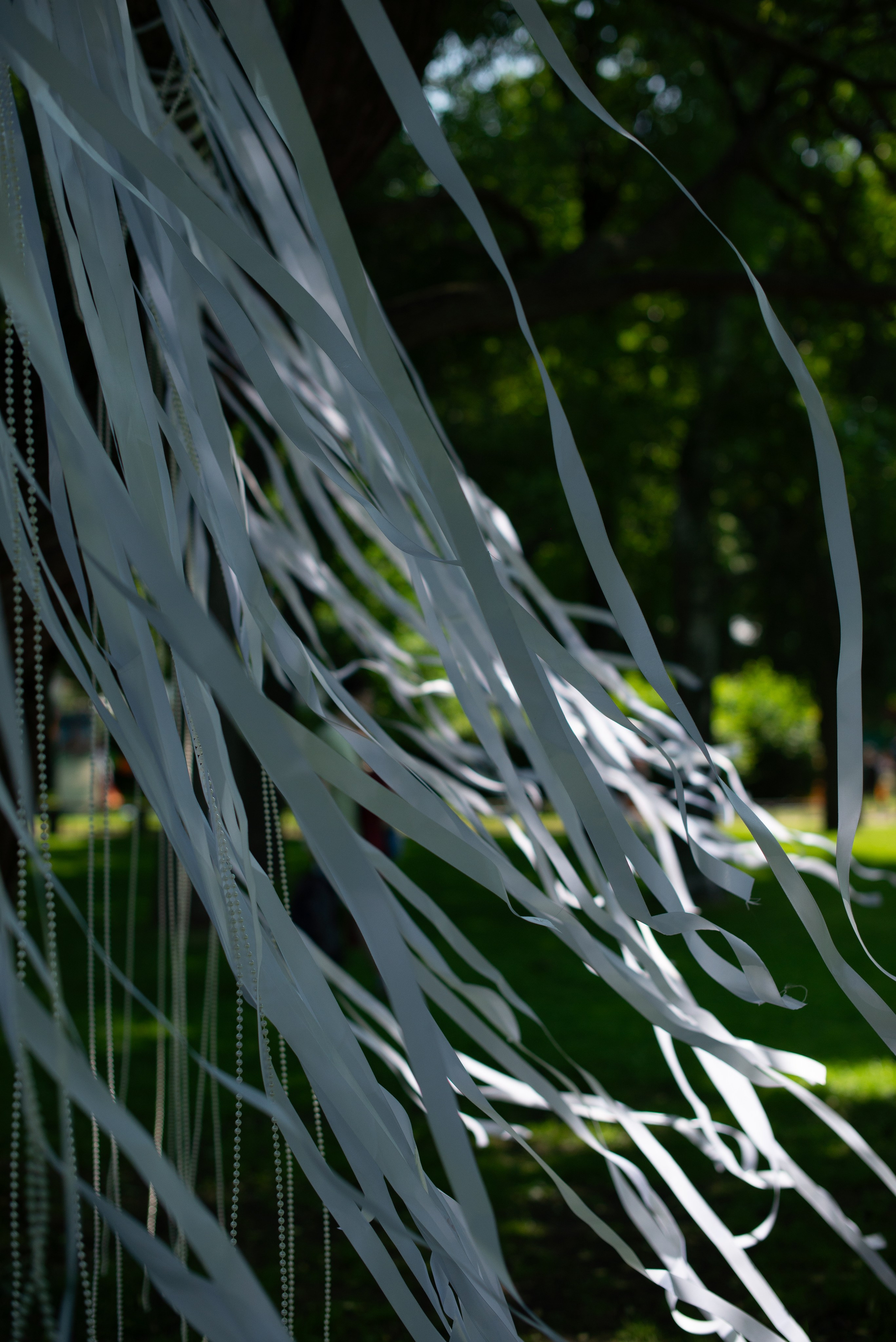 Посмотри День Йоги Санкт- Петербург 2025. Victoria Radjevna Репортажный Фотограф — Видеограф Москва • Санкт-Петербург