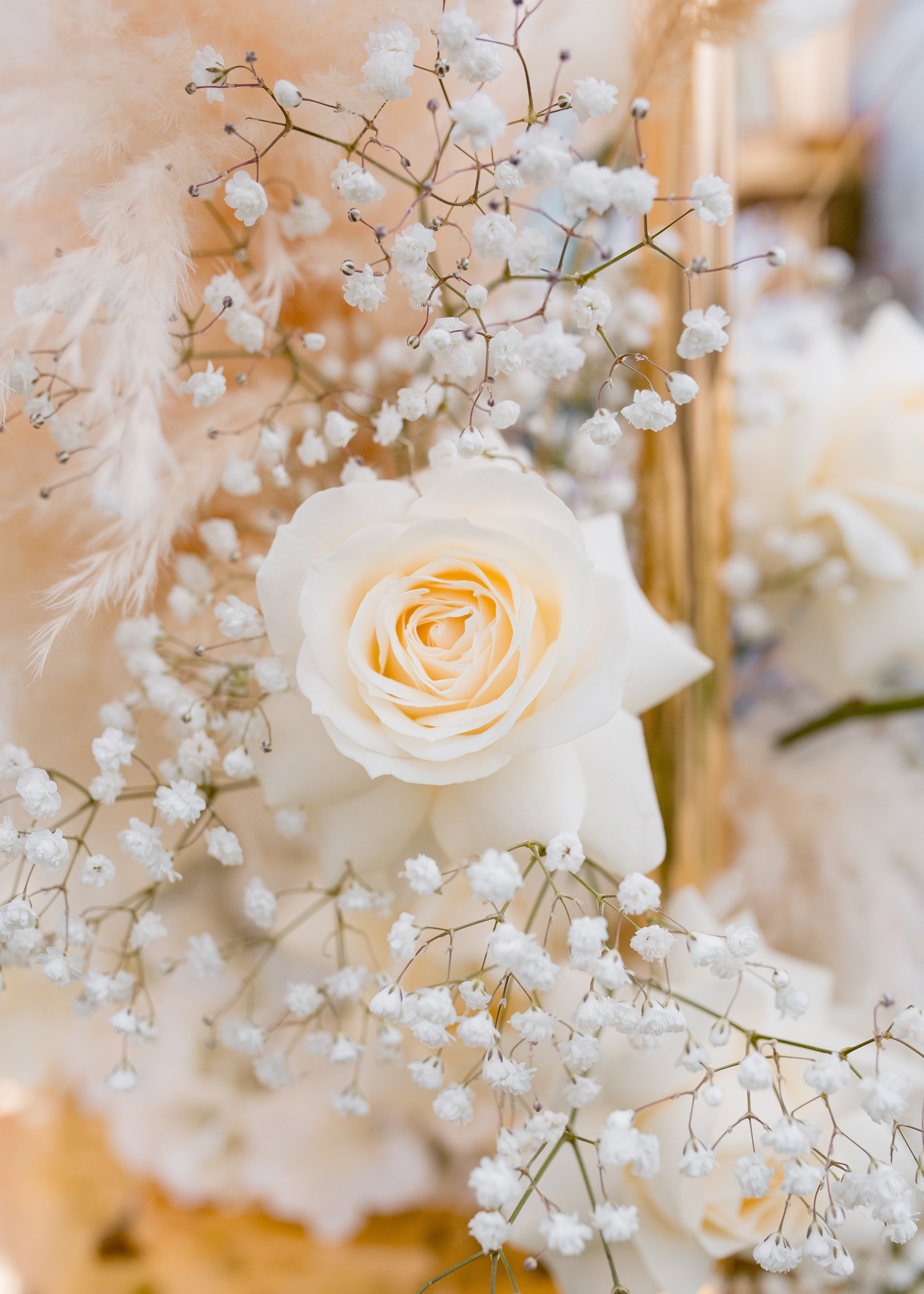 Азат & Алина. Фотограф в Алматы Диана Токтарова