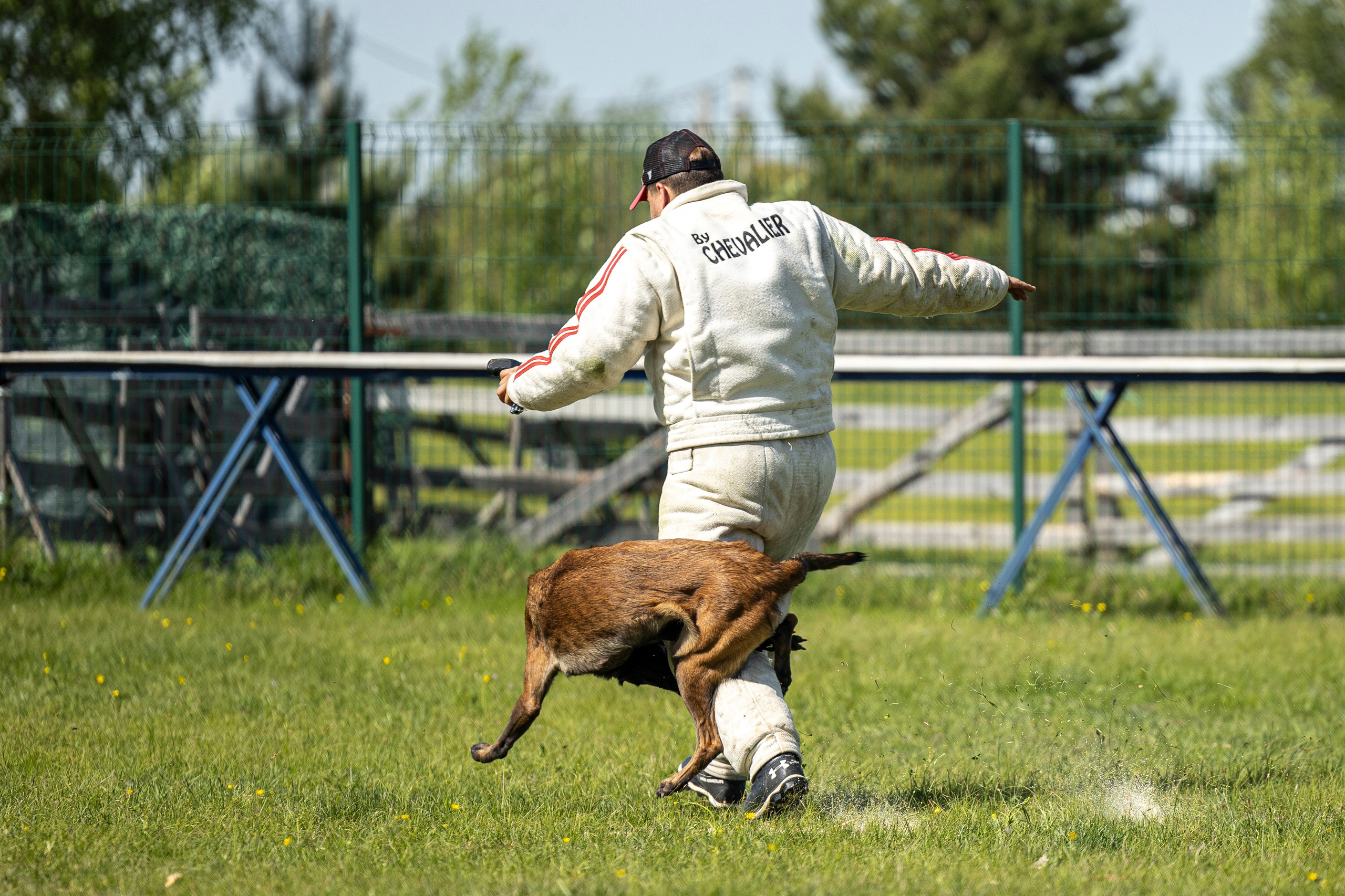 Испытания по мондьорингу в Нижнем Новгороде. Фотограф-анималист Анна Маринич