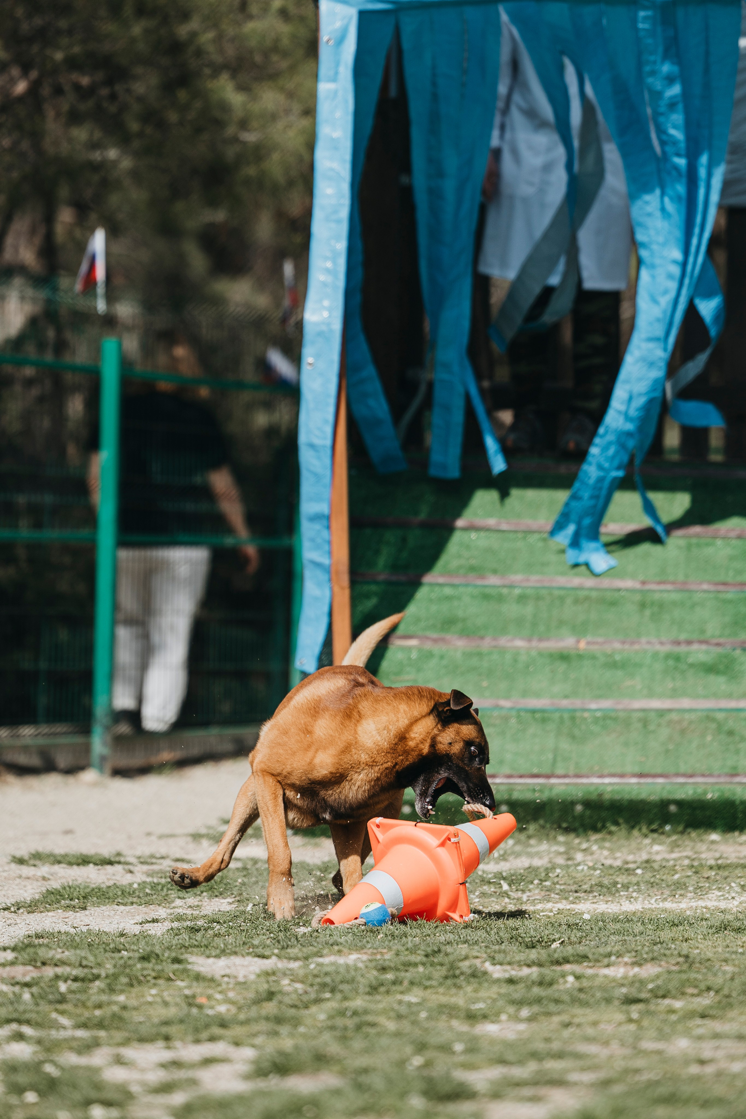 Геленджик Мондьоринг. Фотограф-анималист Анна Маринич