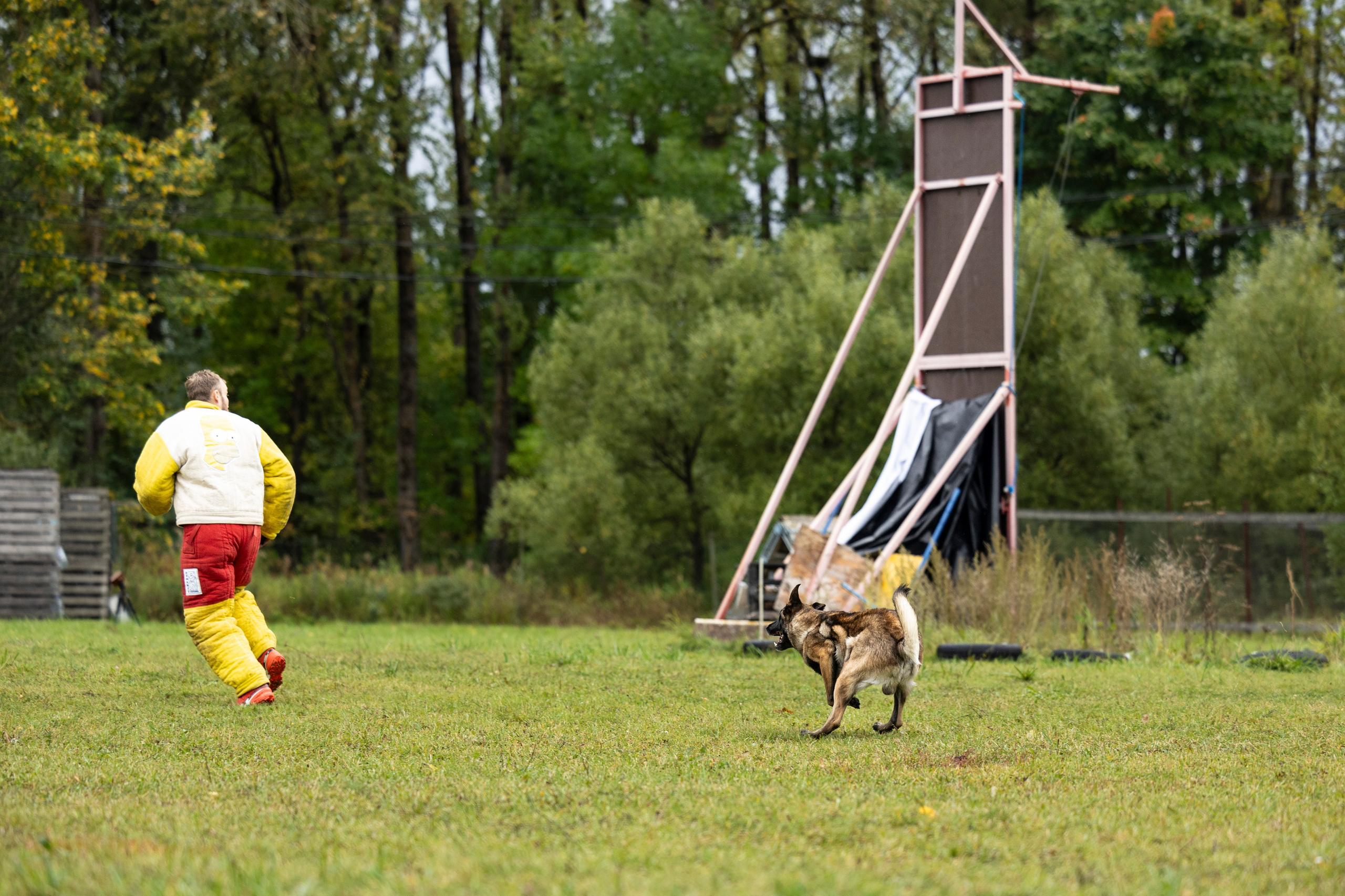 Испытания по Мондьорингу г. Пушкин. Фотограф-анималист Анна Маринич
