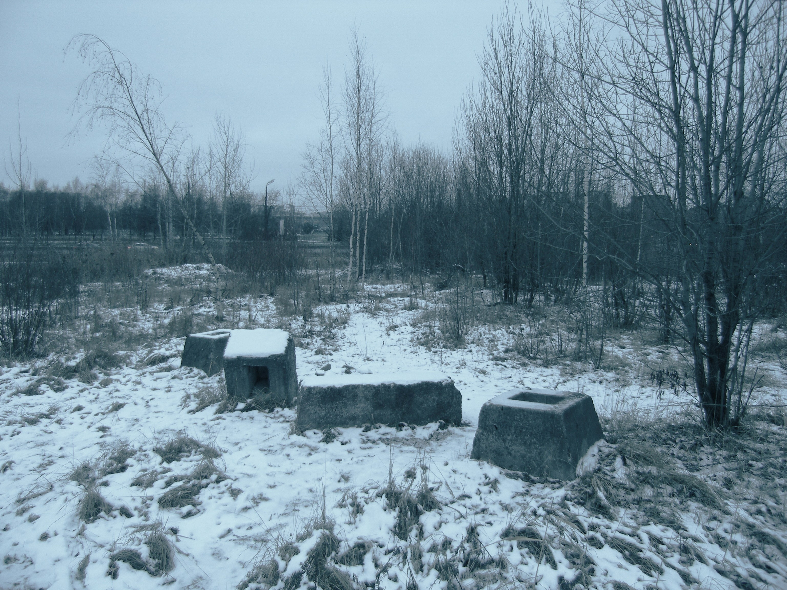 Bardo / Цветущие сны. Роман Ходырев — художник, фотограф, музыкант, эзотериолог. Санкт-Петербург, Рига