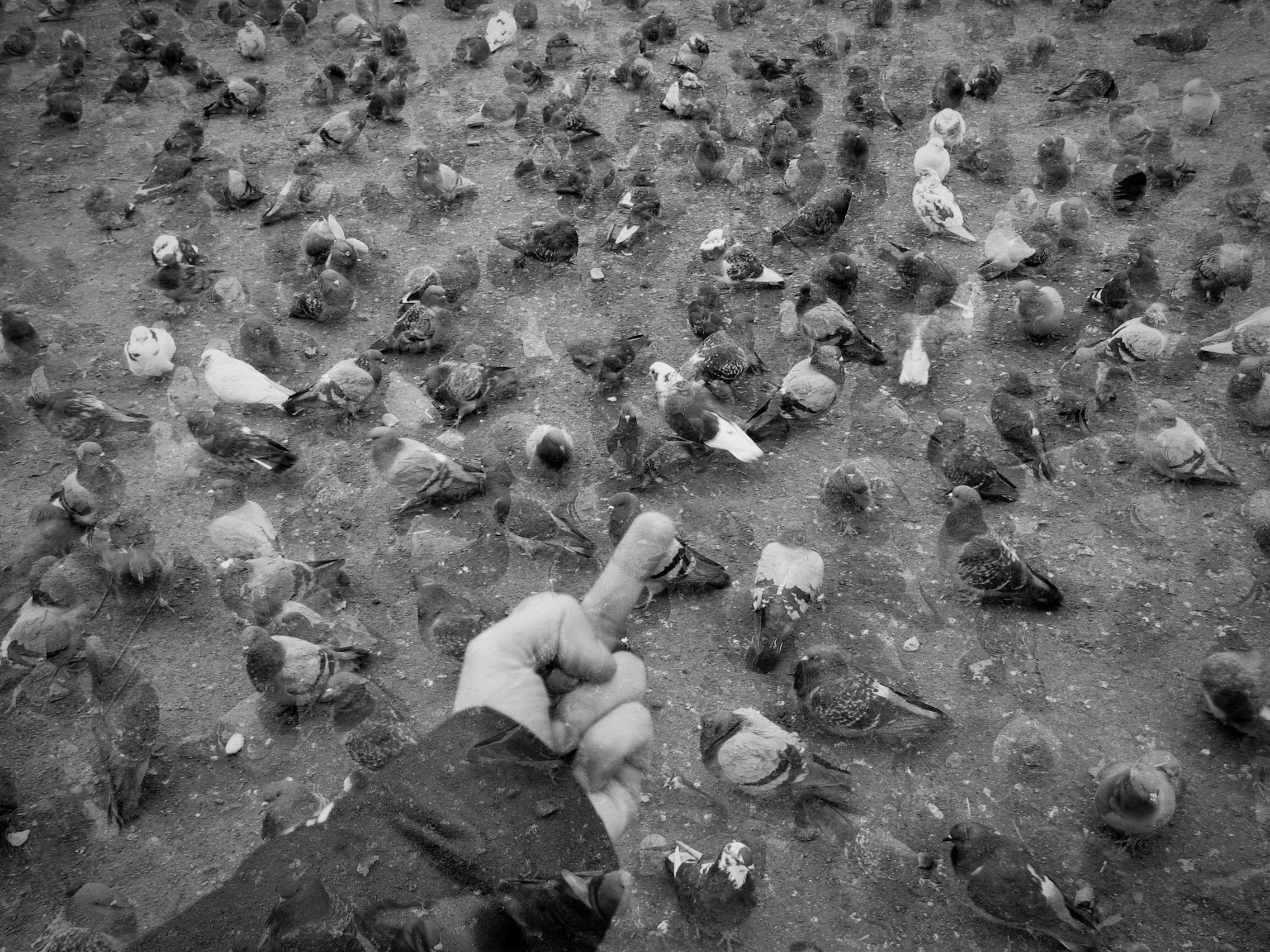 Bardo / Чёрно-белые сны. Роман Ходырев — художник, фотограф, музыкант, эзотериолог. Санкт-Петербург, Рига