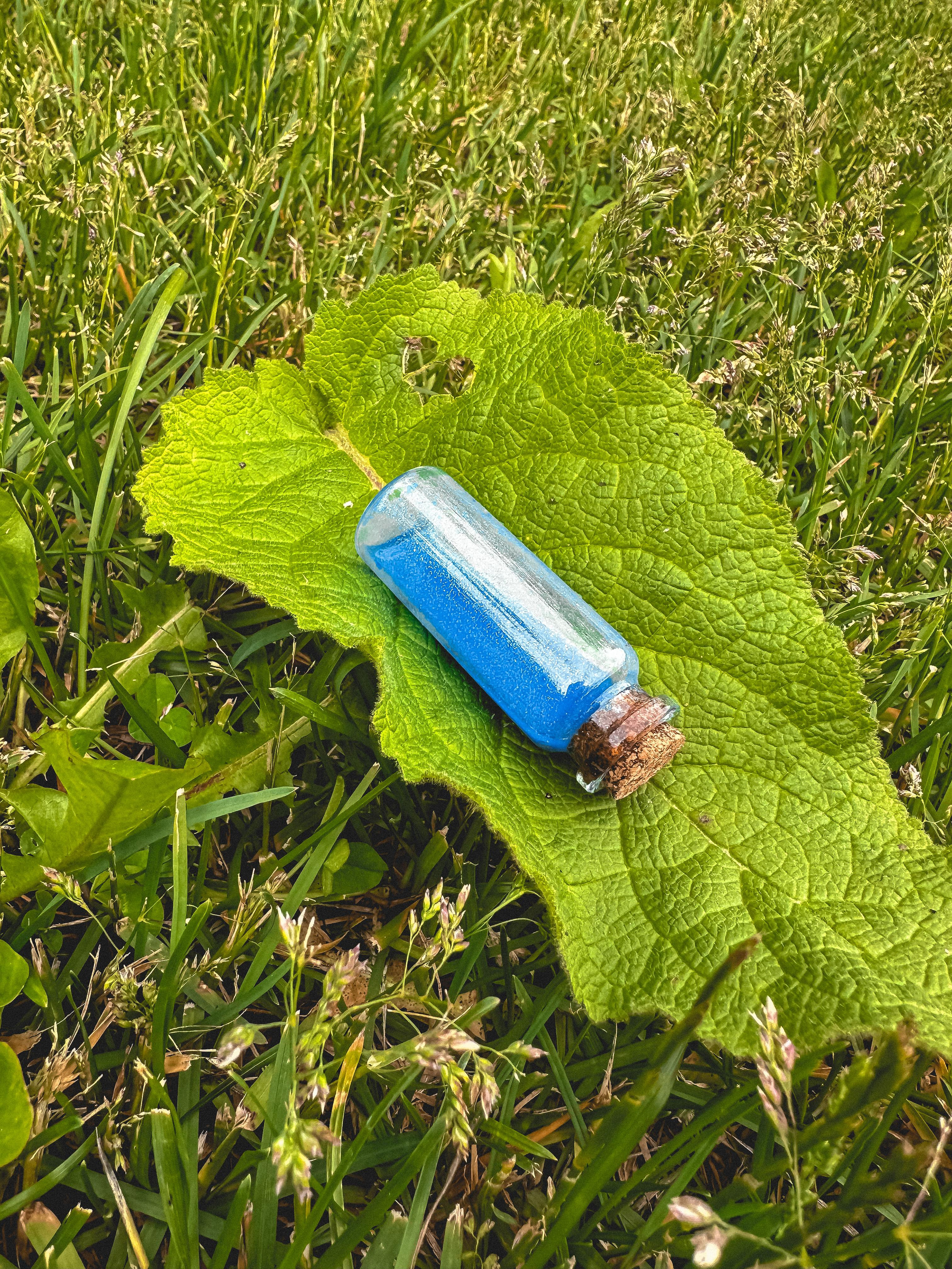 ВОЗВРАЩЕНИЕ УЕНСДЕЙ: день рождения на природе. КАРАМБОЛА: Организация праздников в Москве