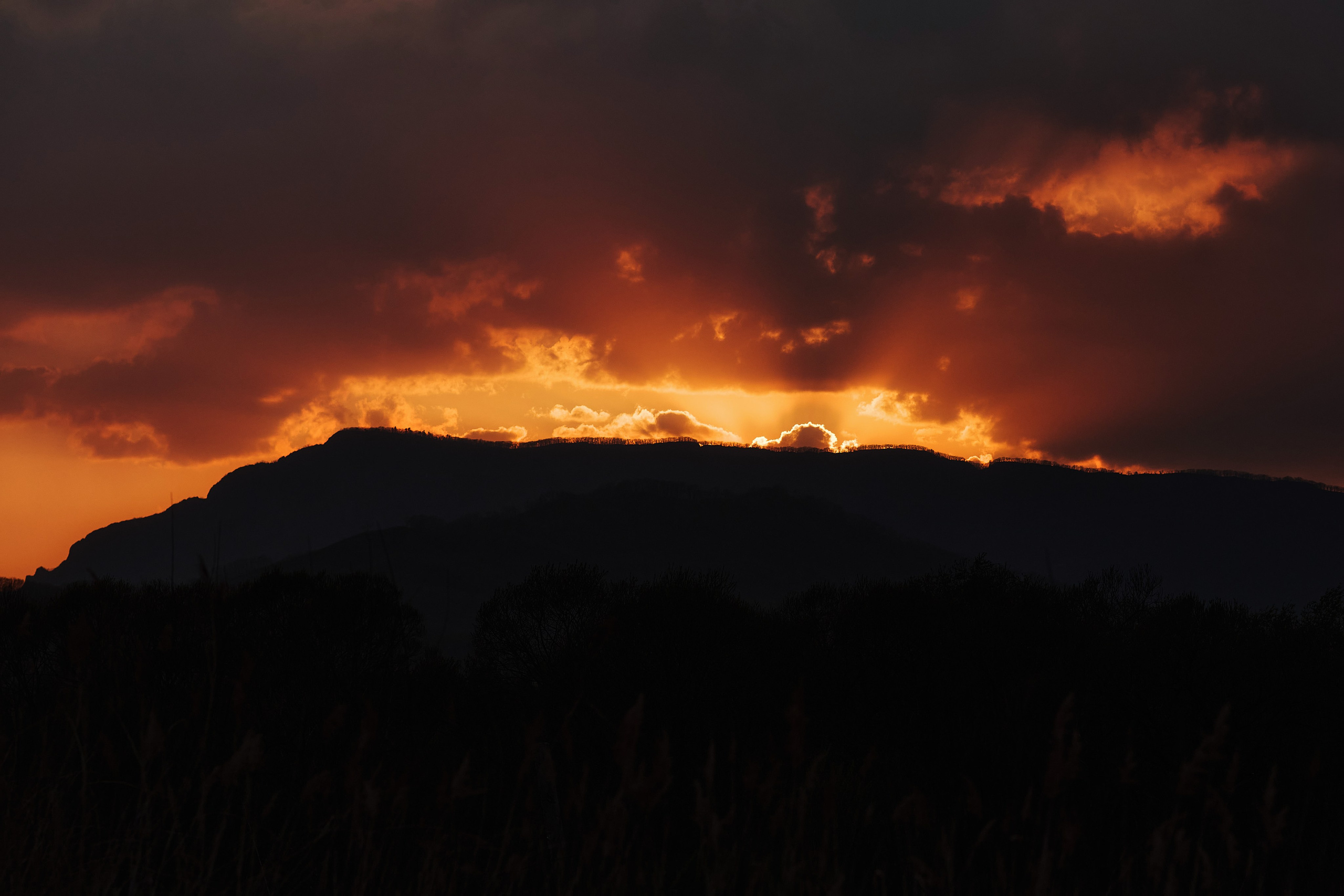 Огненный закат над Чандалазом, пейзаж и деревья, 2025 год