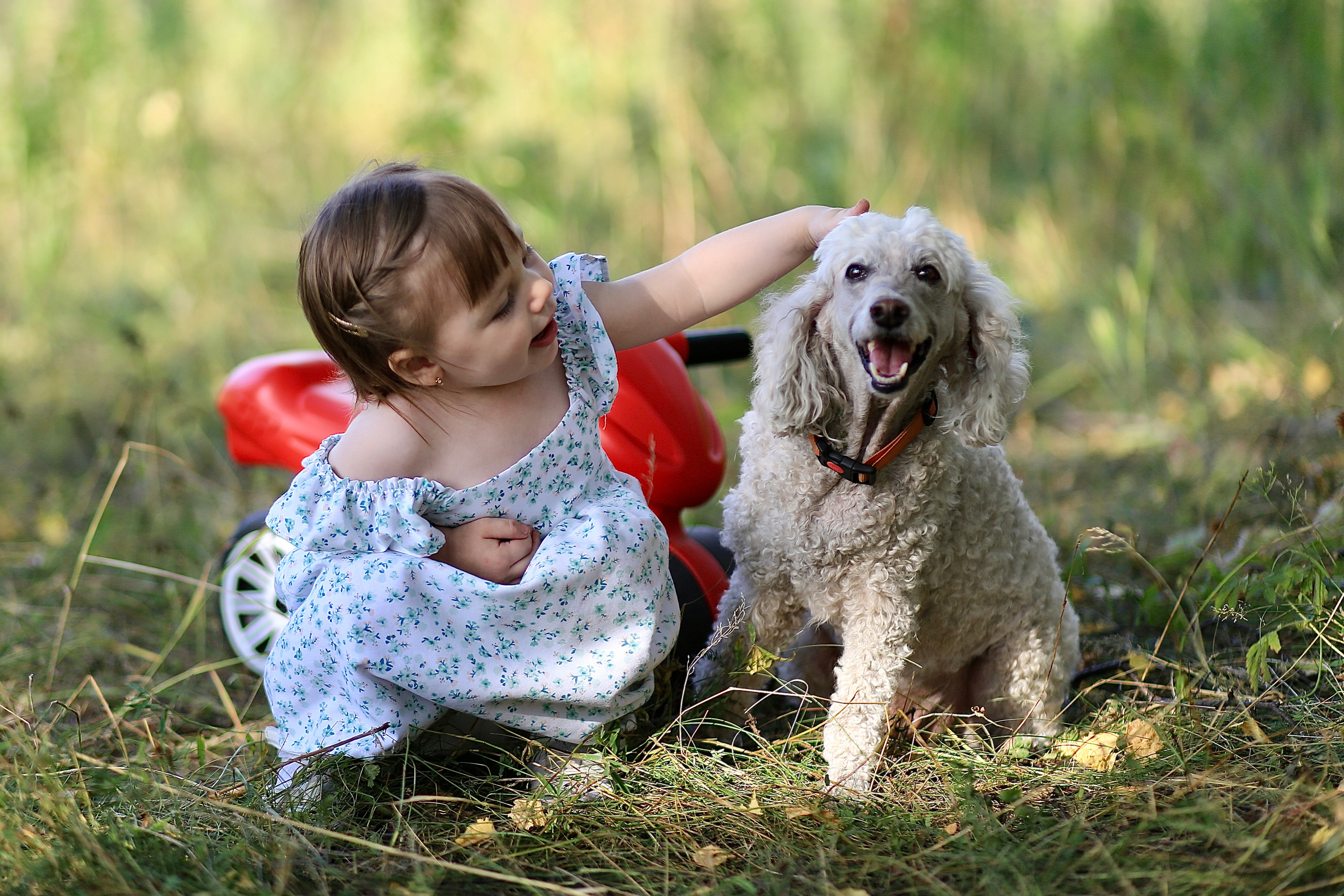 Щенки. Фотограф 📸 семейный, предметный, репортажный