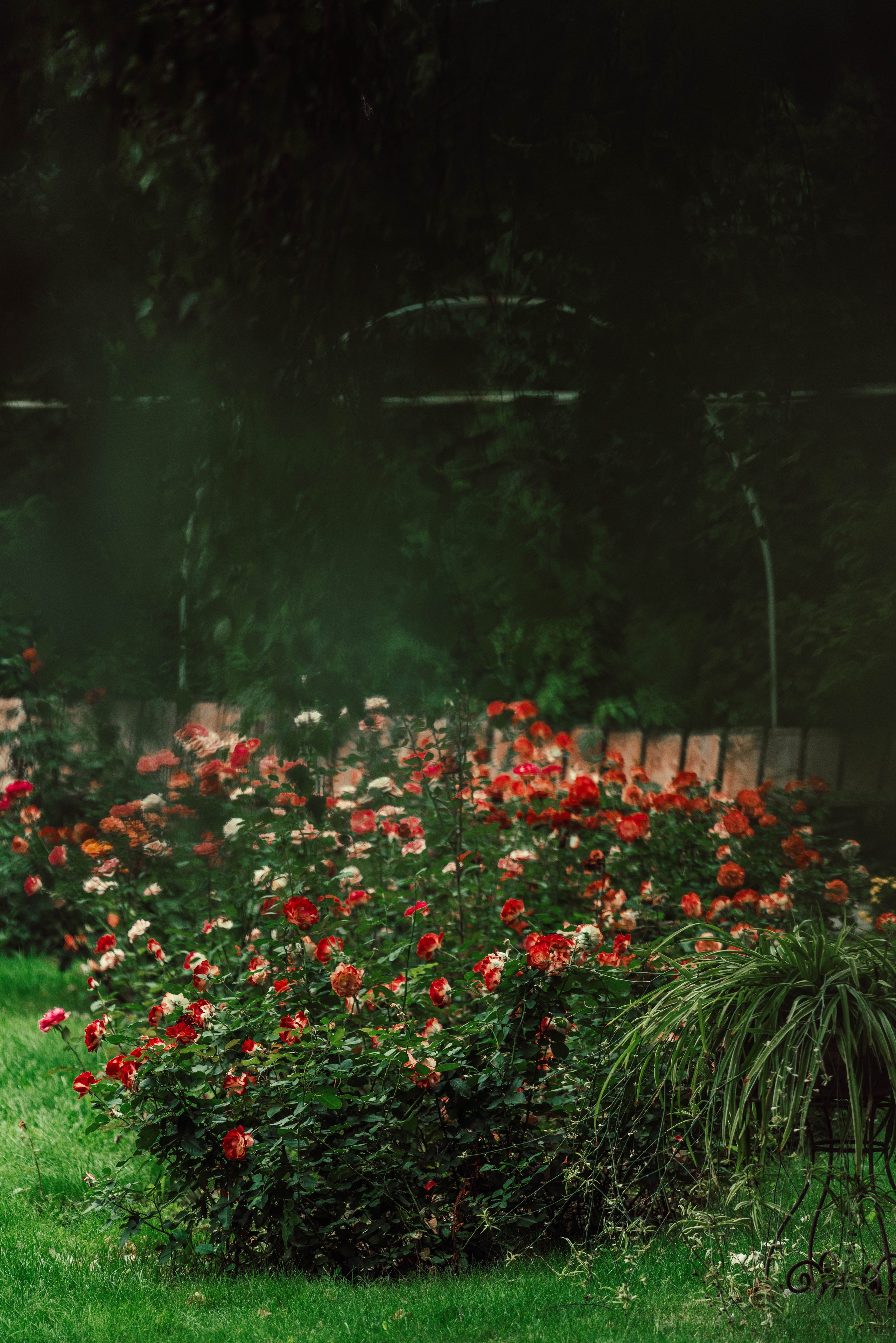 Усть-Каменогорск, Сентябрь 2024