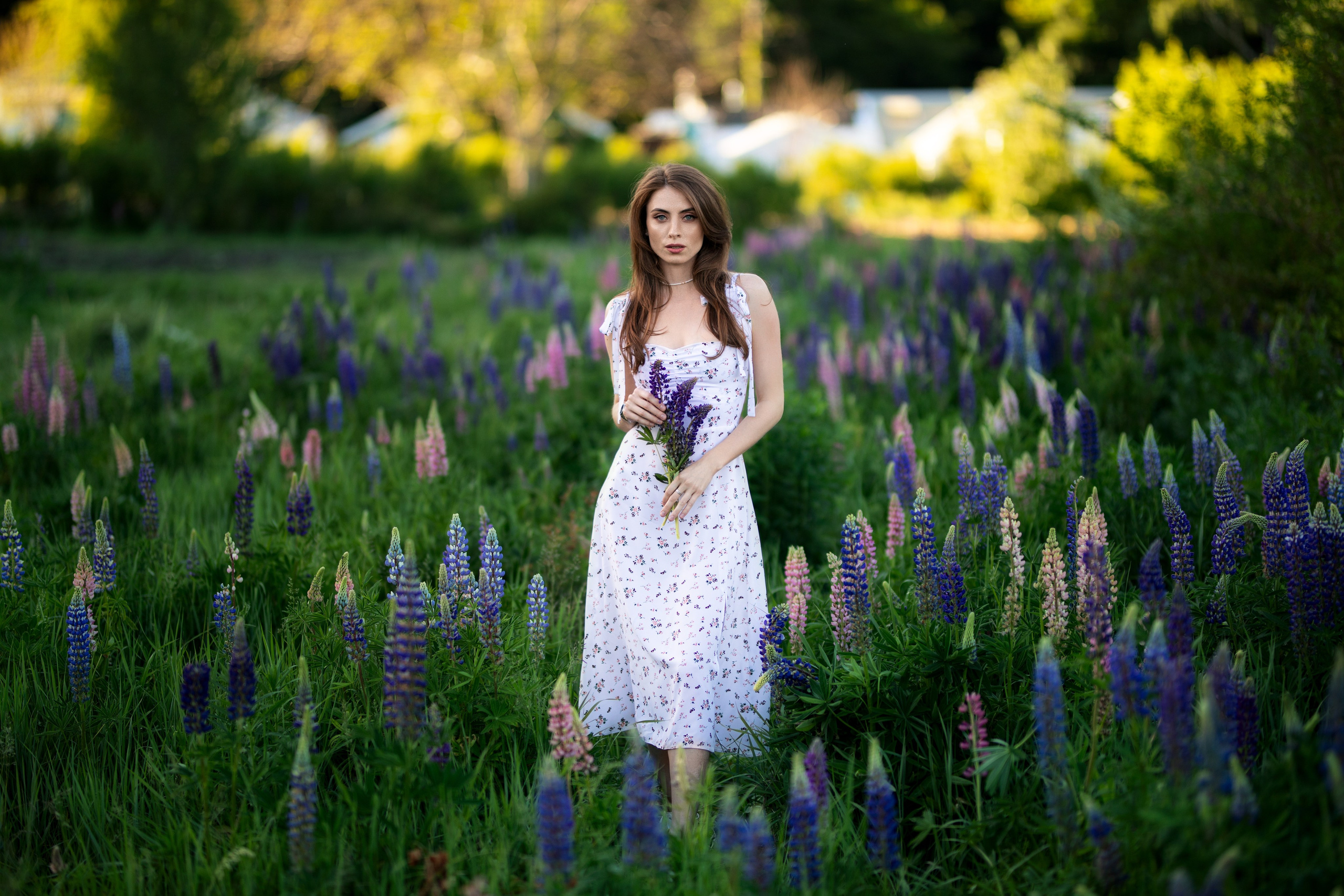 Фотосессия с Надеждой с люпинами в формате «для себя». Дмитрий Шульгин, портретный фотограф в Воронеже