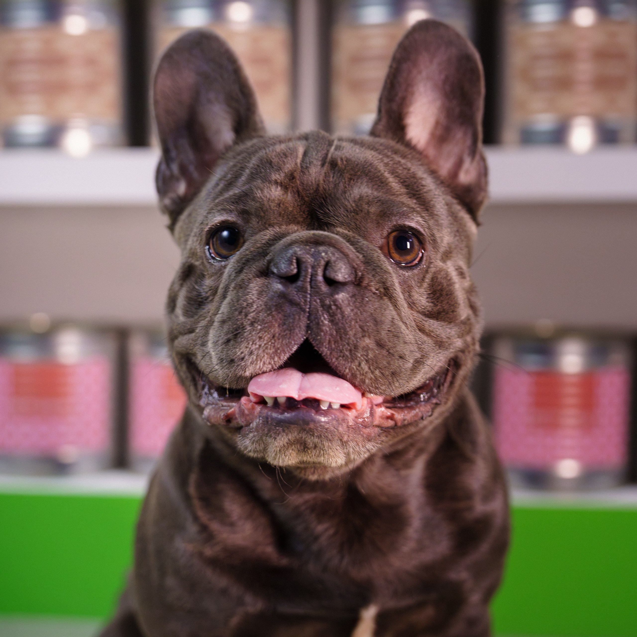 Сбер спасибо